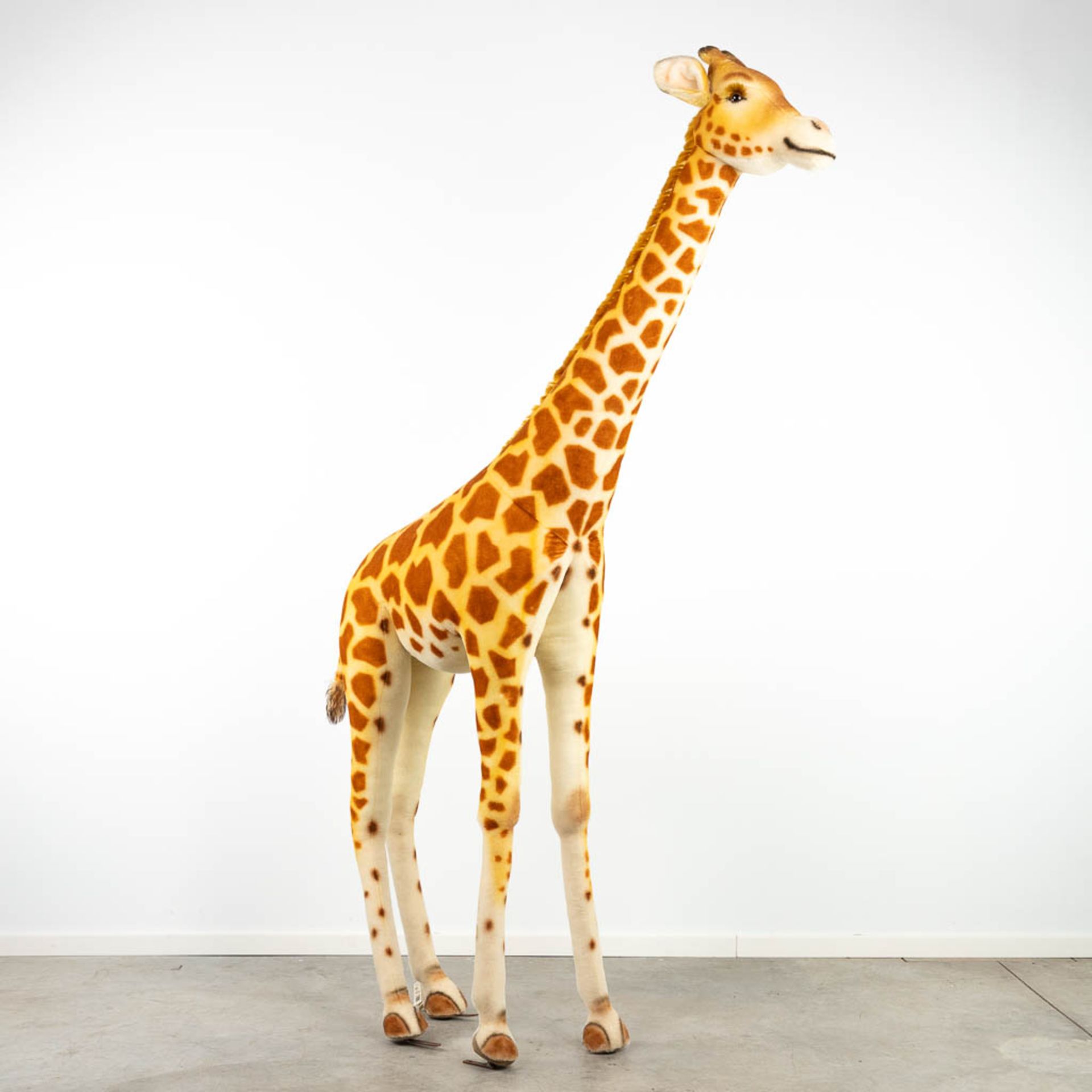 Steiff Studio Giraffe, EAN 502309, around 1968-1990 (240cm) - Image 11 of 11