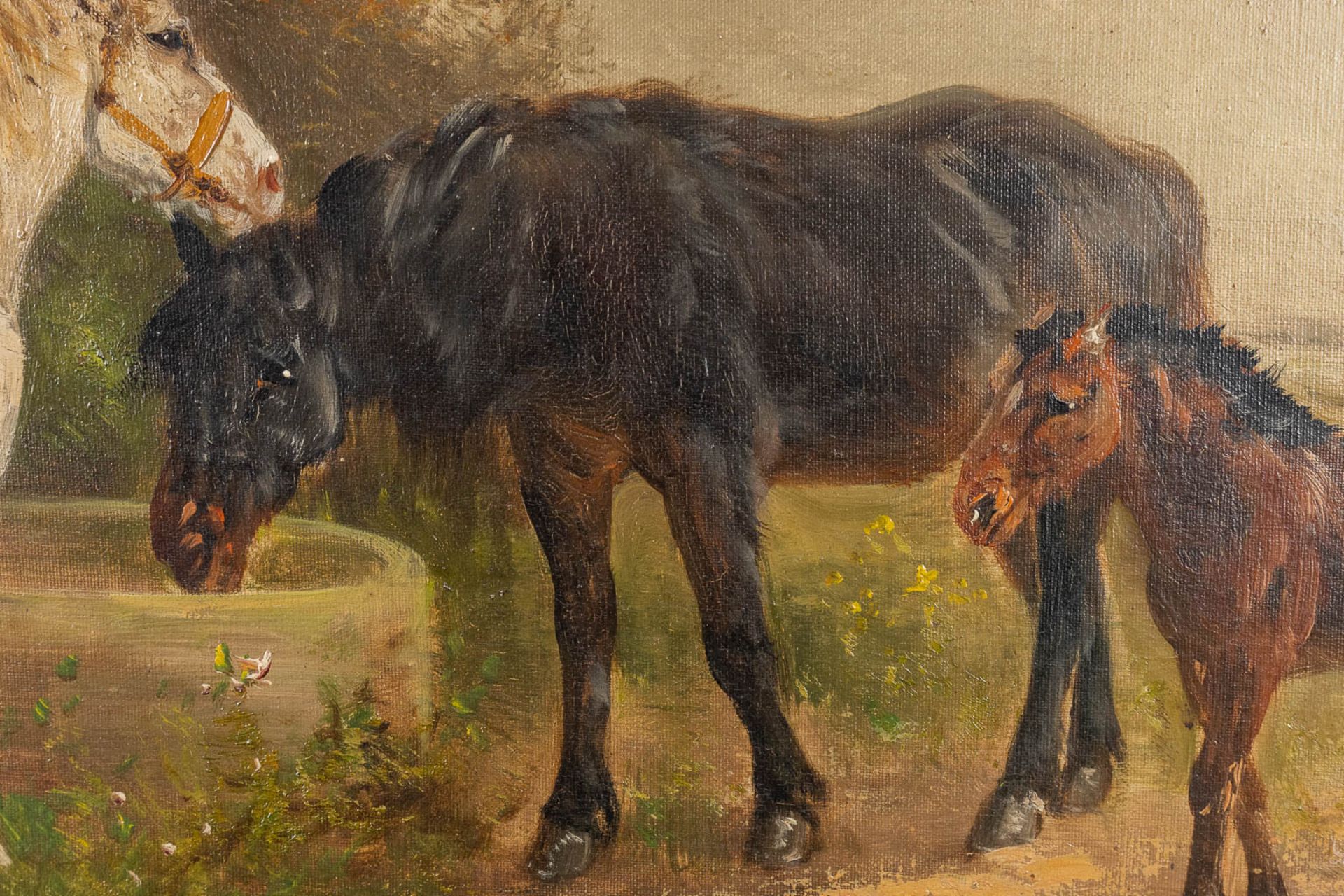Henry SCHOUTEN (1857/64-1927) 'Horses and a foal' (75 x 50cm) - Image 7 of 8