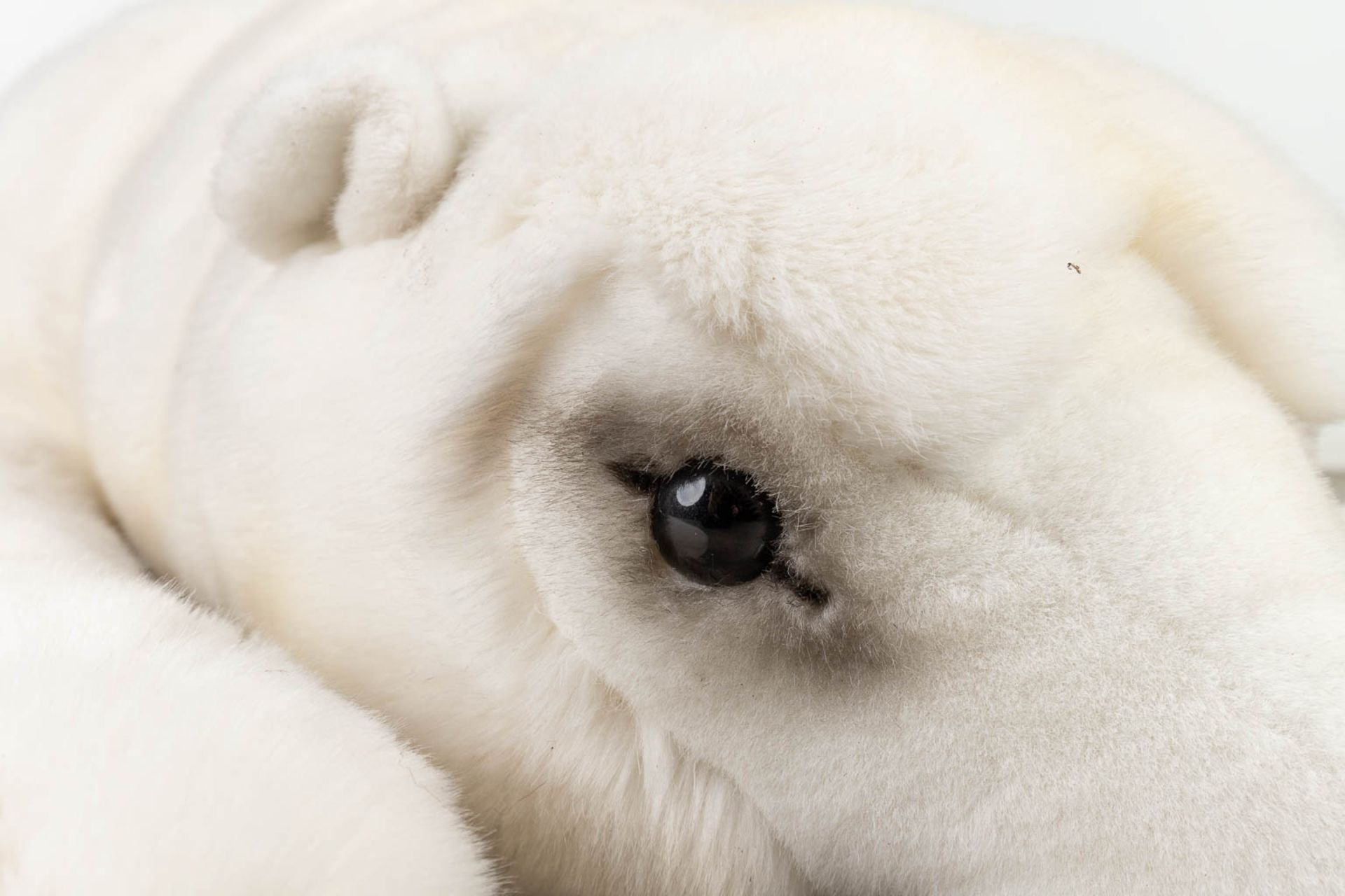 Steiff Polar Bear, EAN 501500, around 1991-1999 (170 x 45cm) - Image 14 of 18