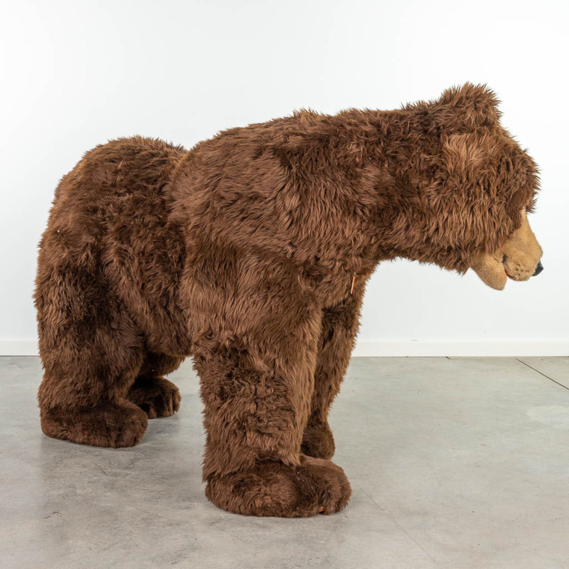 Steiff Studio Bear, EAN 500503, around 1987-1990 (160 x 95cm) - Image 5 of 15