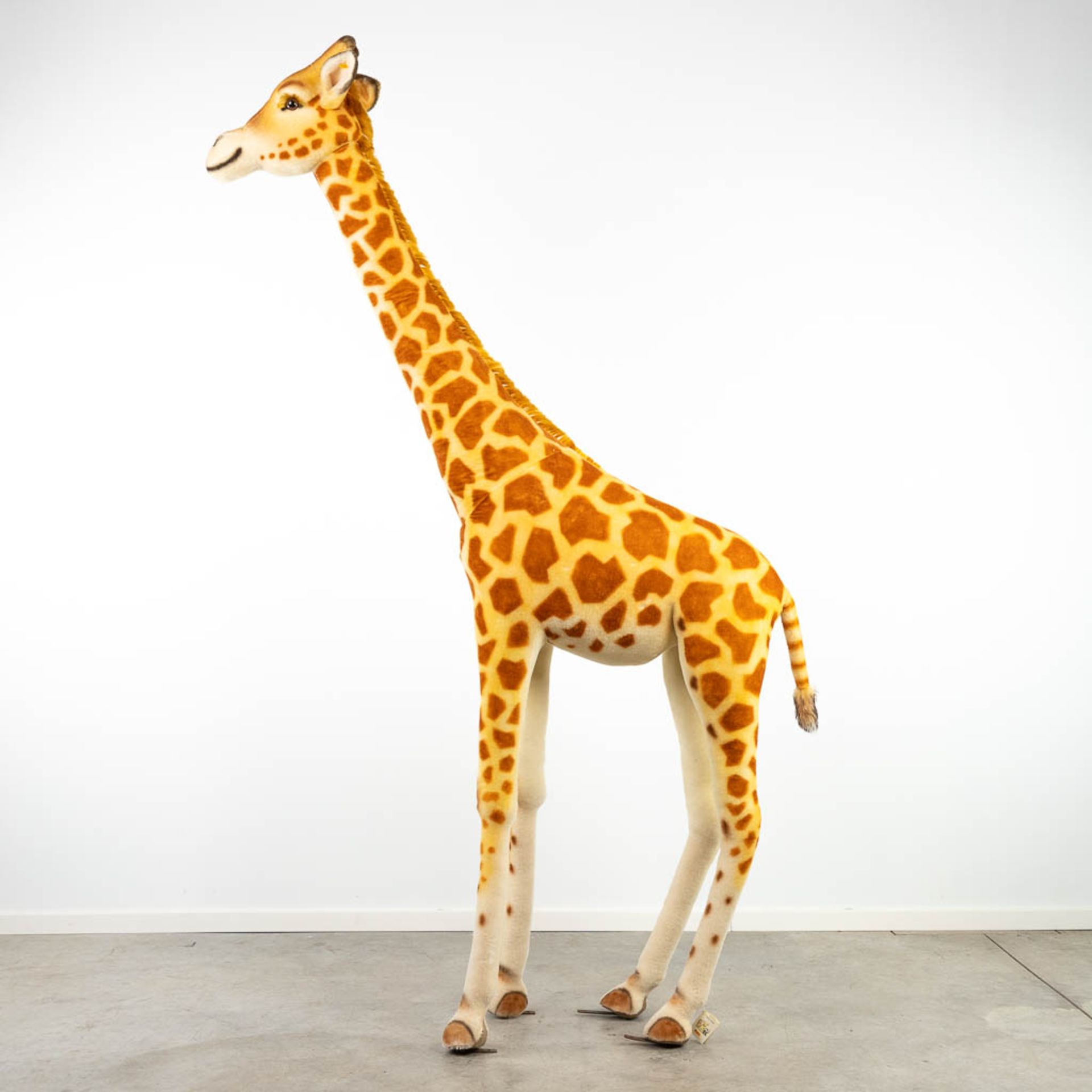 Steiff Studio Giraffe, EAN 502309, around 1968-1990 (240cm) - Image 7 of 11