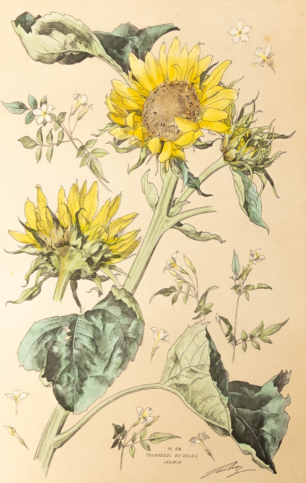 Henry LAMBERT (1836-1909),ÊFlore Naturelle, 1890 (36 x 54cm) - Image 6 of 8