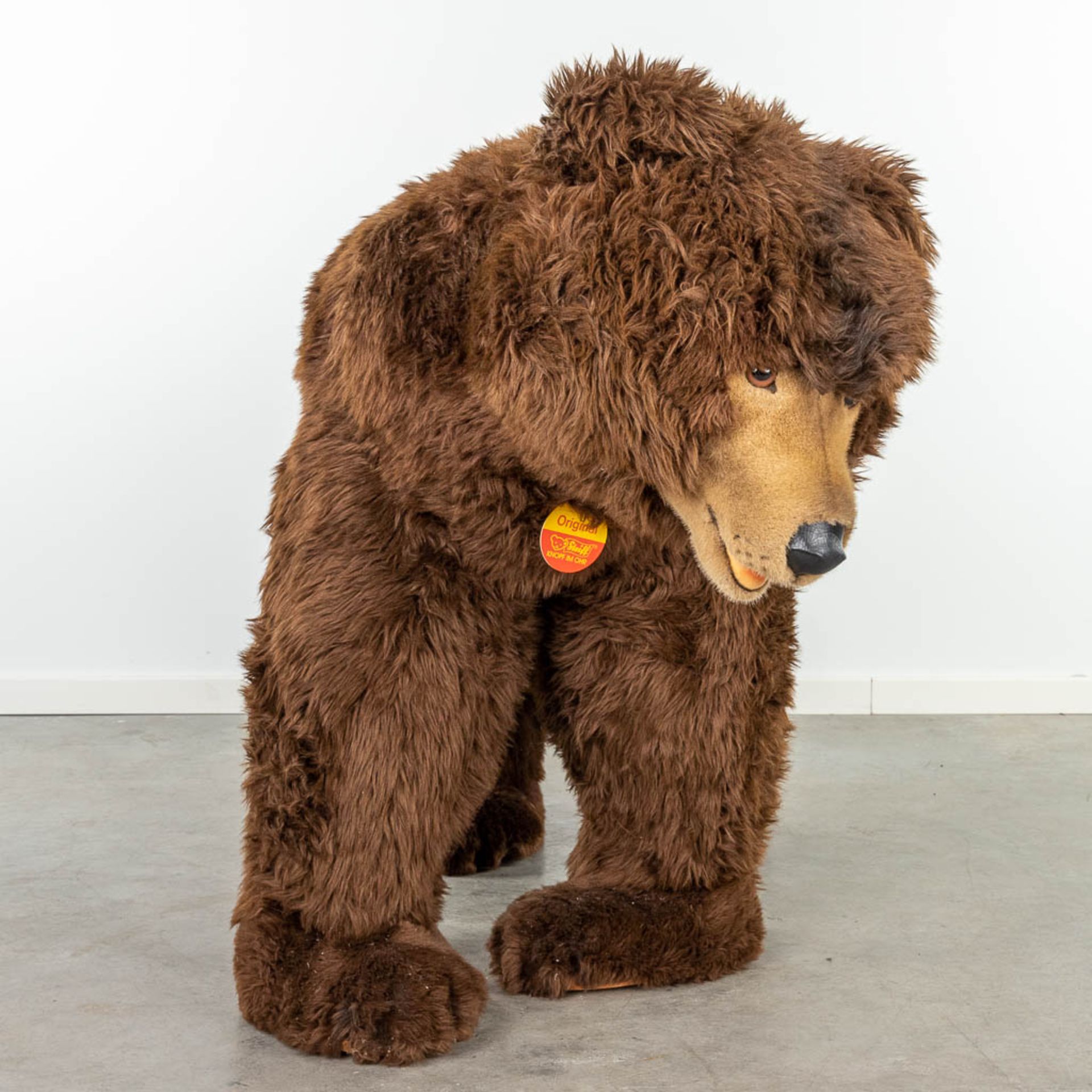 Steiff Studio Bear, EAN 500503, around 1987-1990 (160 x 95cm) - Image 9 of 15