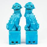 A pair of Chinese Foo dogs, made of blue glazed porcelain. (7 x 10 x 30,5 cm)