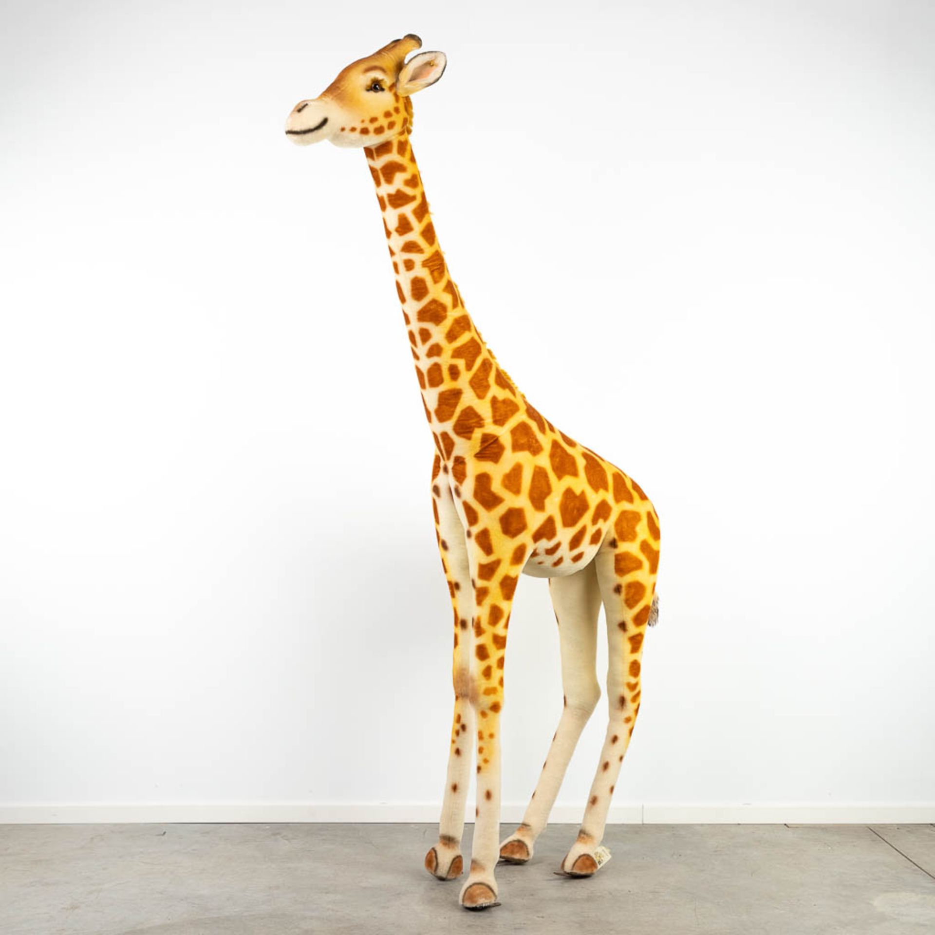 Steiff Studio Giraffe, EAN 502309, around 1968-1990 (240cm)