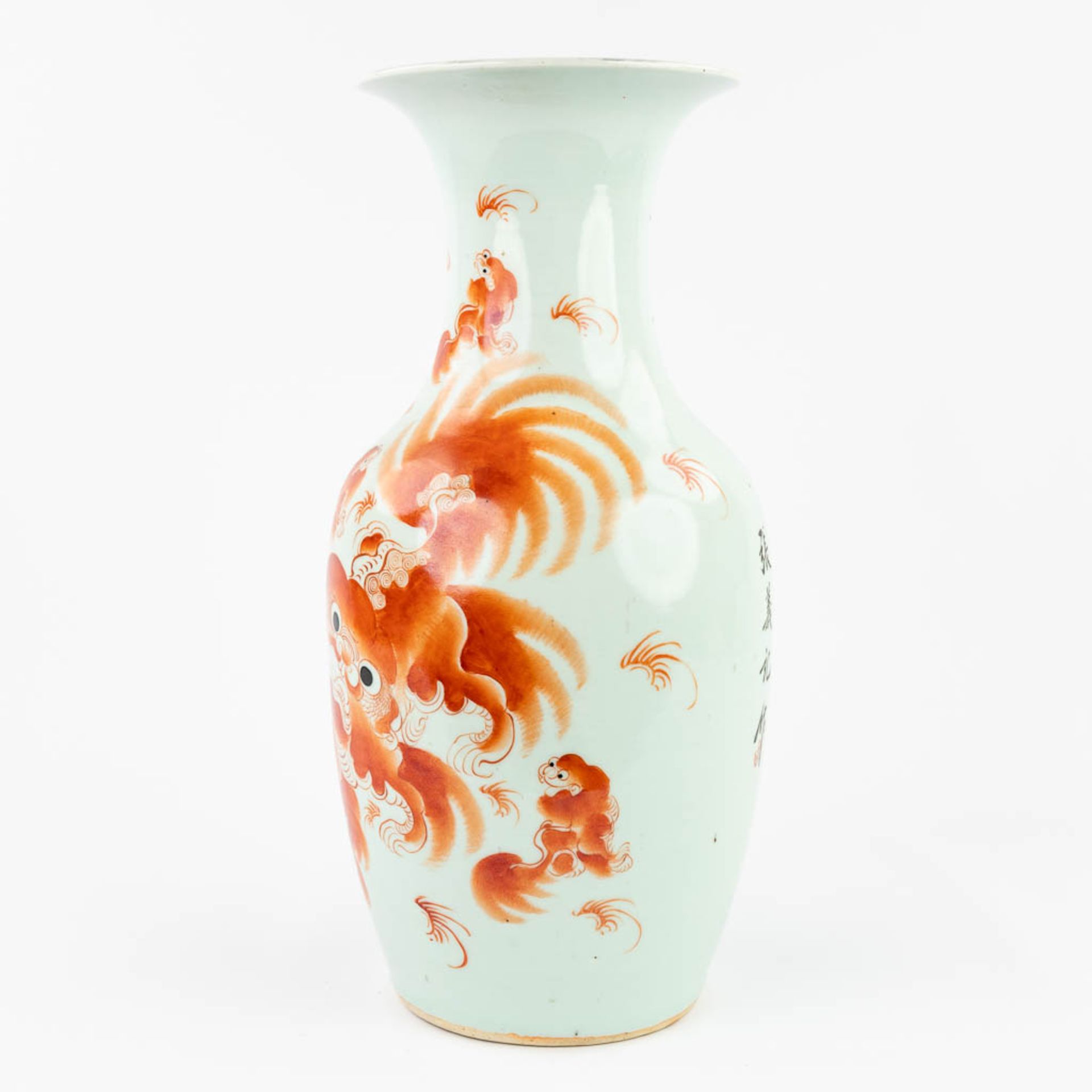 A Chinese vase made of porcelain and decorated with a red foo dog. (44,5 x 21 cm) - Image 11 of 16
