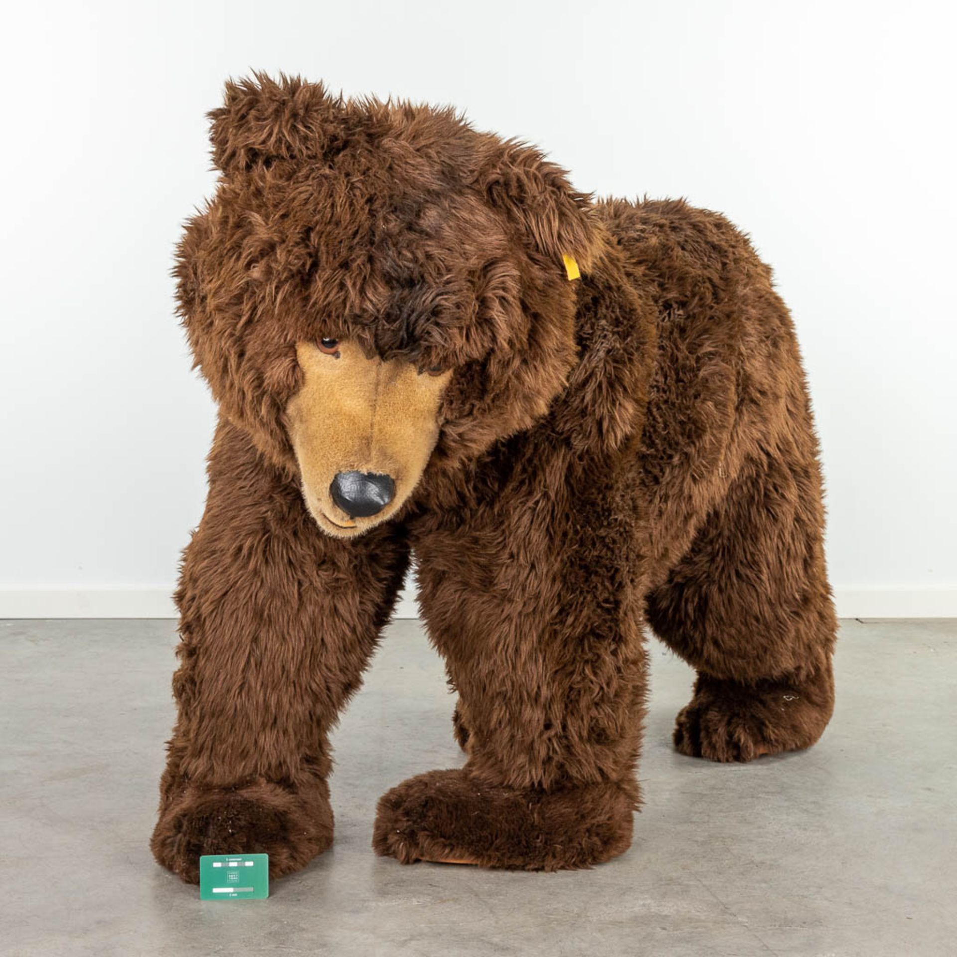 Steiff Studio Bear, EAN 500503, around 1987-1990 (160 x 95cm) - Image 4 of 15