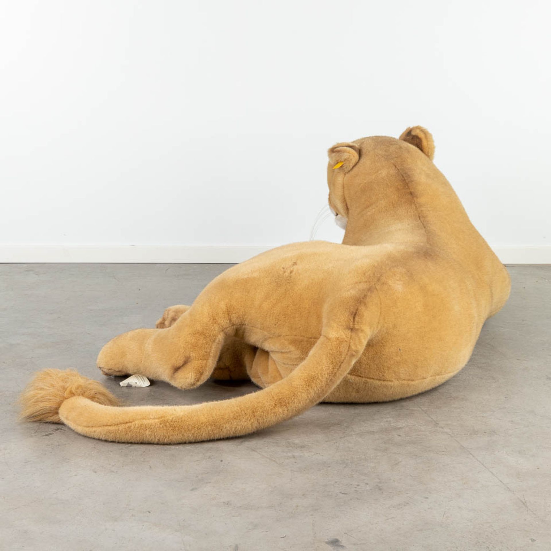 Steiff Lioness, EAN 502750, around 1991-1999 (160 x 55cm) - Image 5 of 12