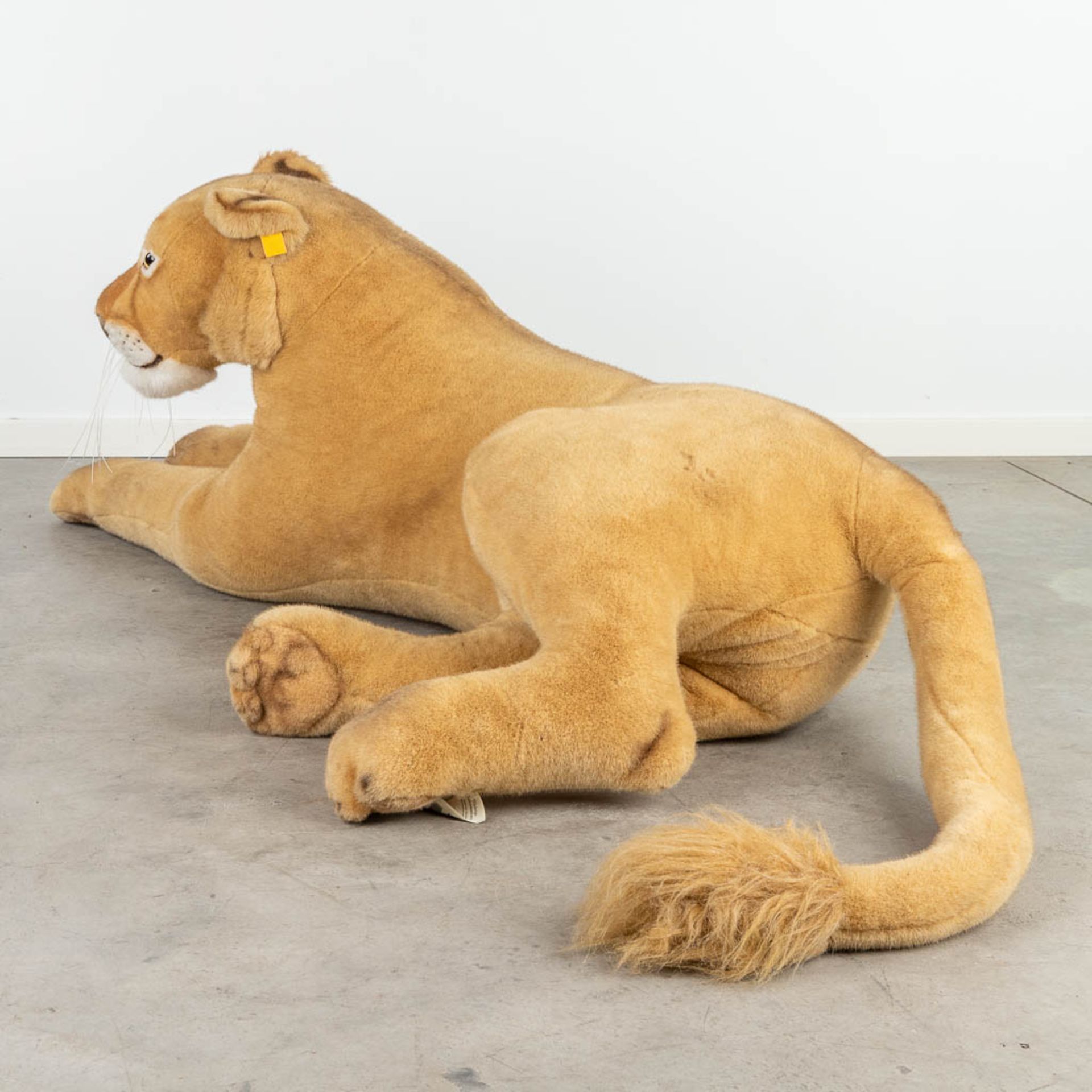 Steiff Lioness, EAN 502750, around 1991-1999 (160 x 55cm) - Image 3 of 12