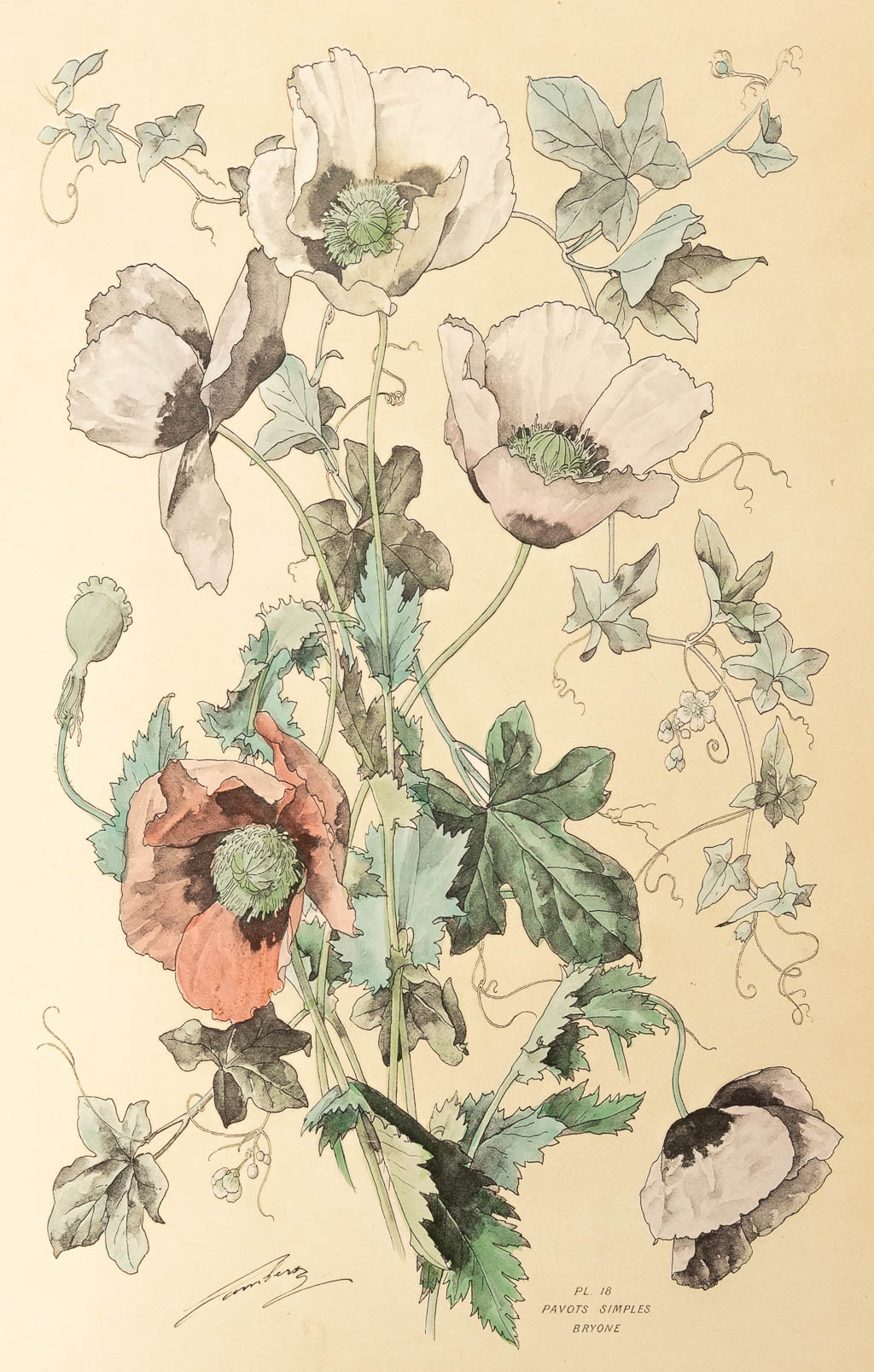 Henry LAMBERT (1836-1909),ÊFlore Naturelle, 1890 (36 x 54cm) - Image 5 of 8