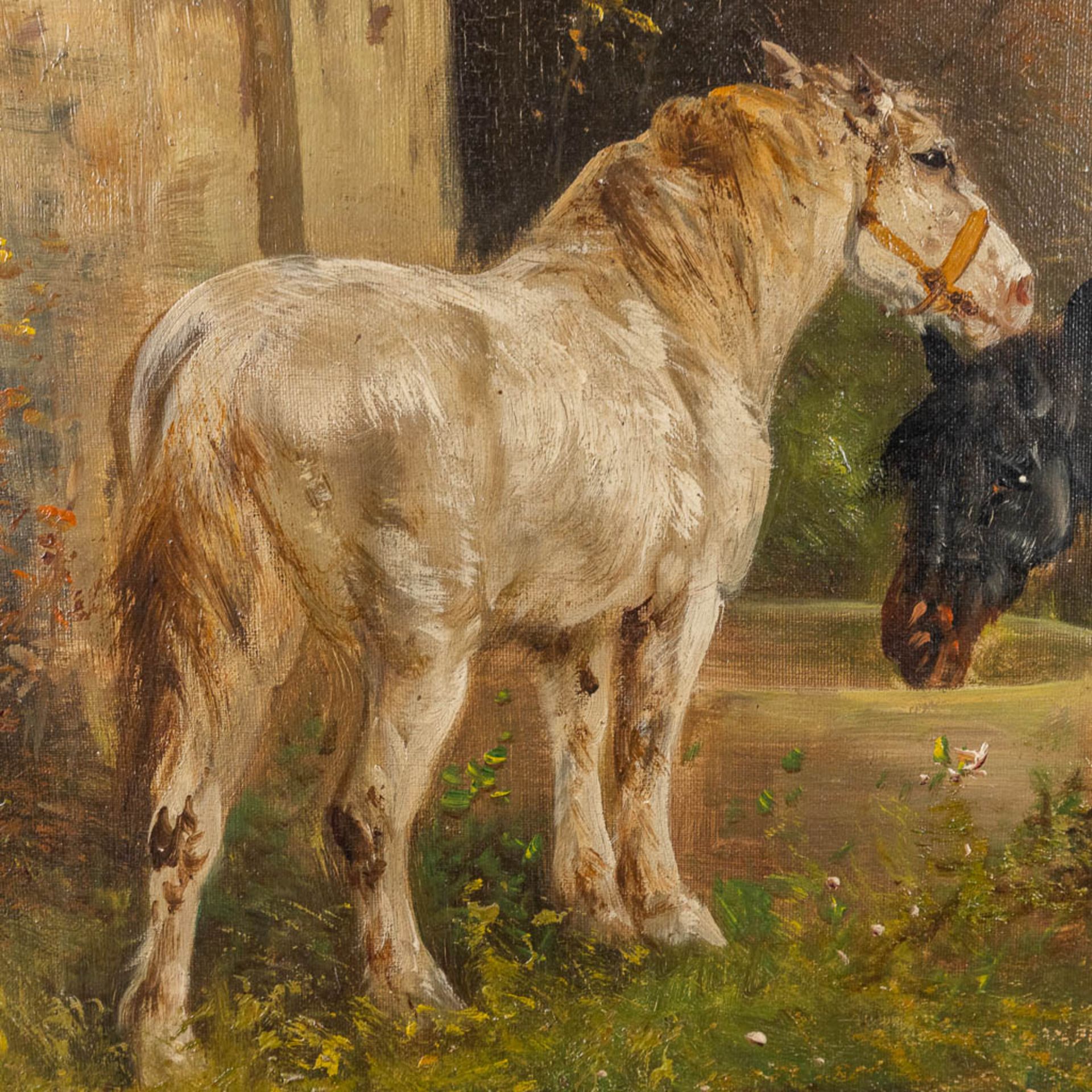Henry SCHOUTEN (1857/64-1927) 'Horses and a foal' (75 x 50cm) - Image 3 of 8