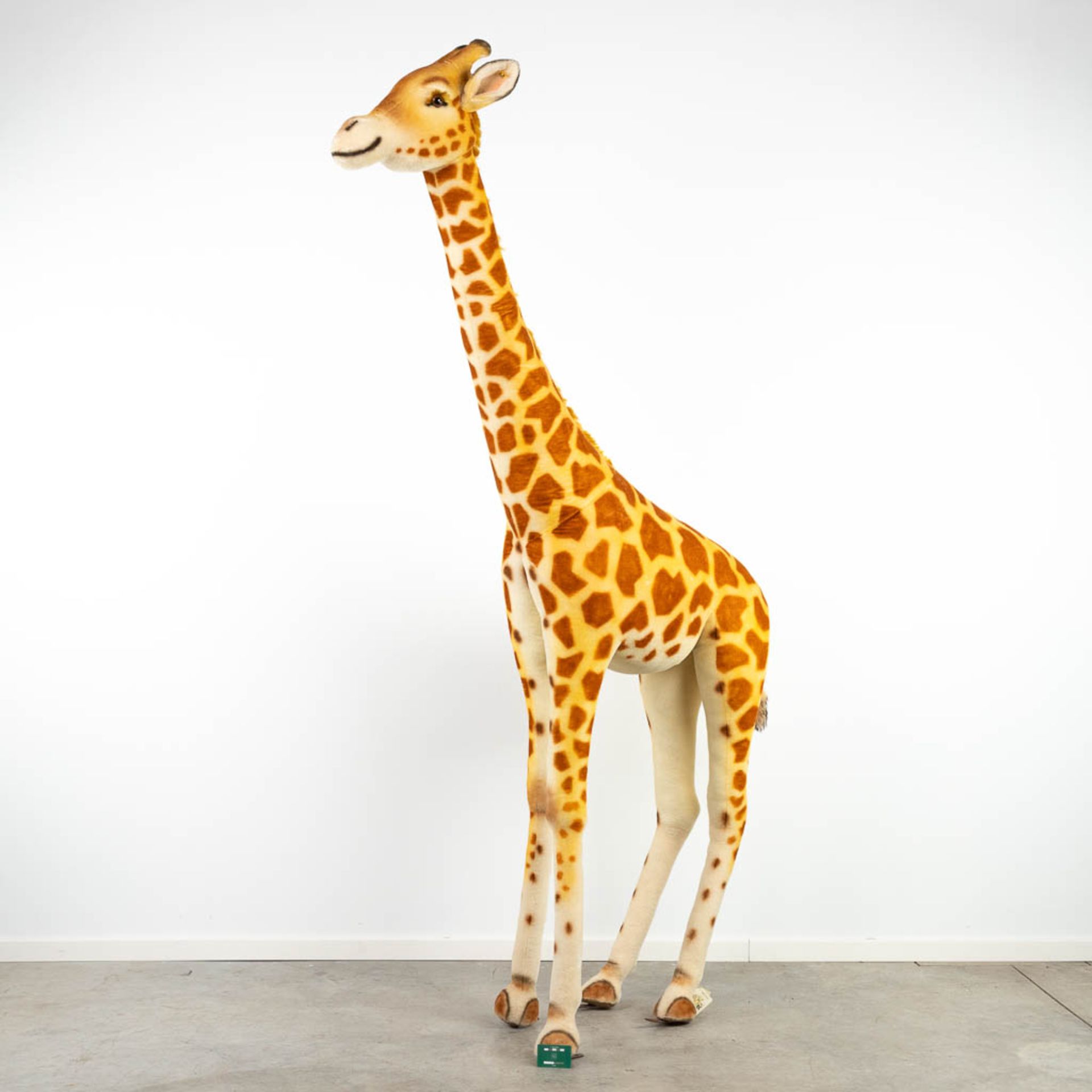 Steiff Studio Giraffe, EAN 502309, around 1968-1990 (240cm) - Image 4 of 11