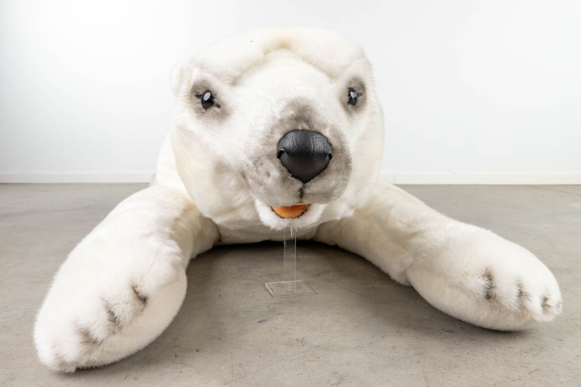 Steiff Polar Bear, EAN 501500, around 1991-1999 (170 x 45cm) - Image 16 of 18