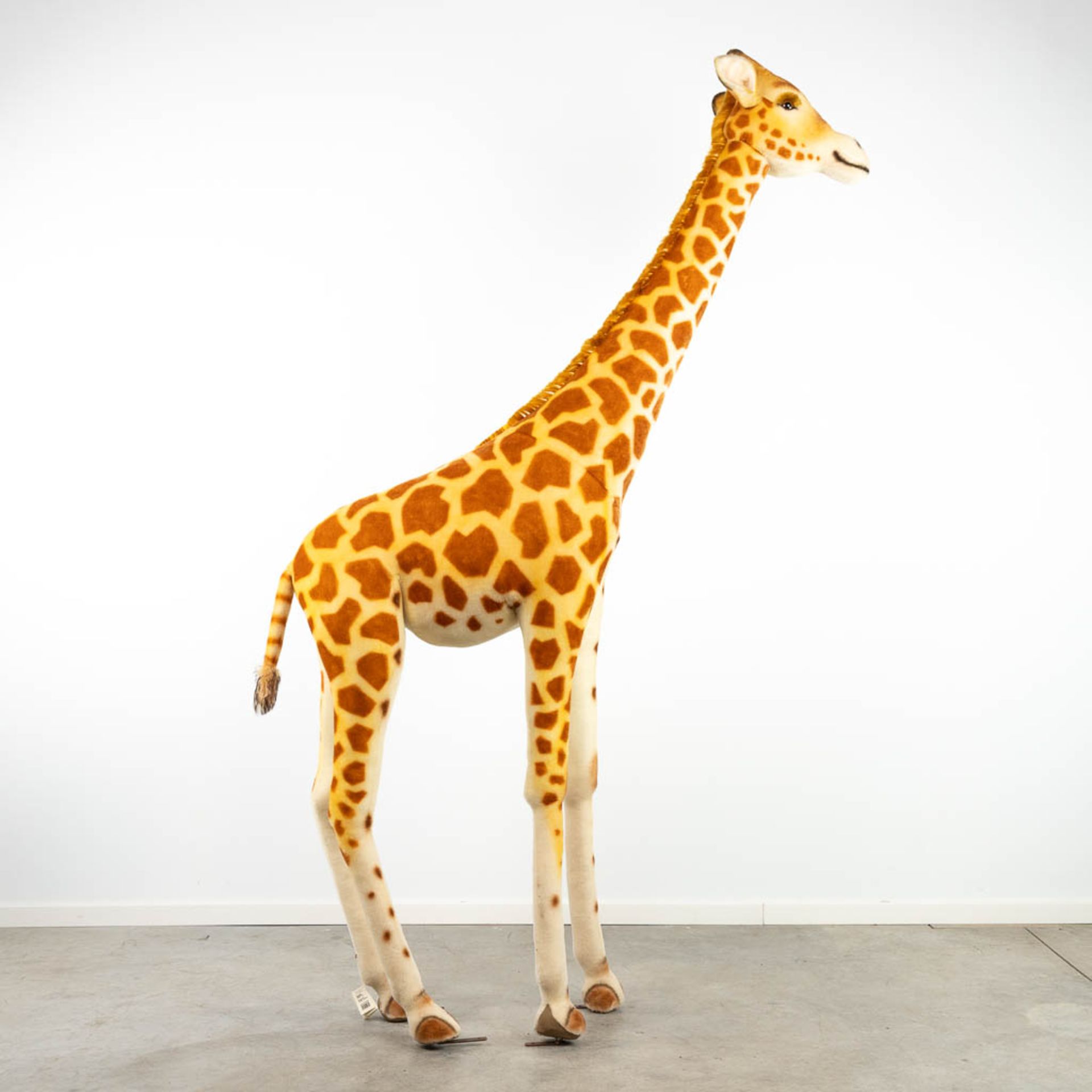 Steiff Studio Giraffe, EAN 502309, around 1968-1990 (240cm) - Image 8 of 11