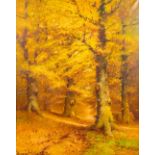 Albert DEMOEN (1916) 'Forest View' oil on canvas. (80 x 105cm)