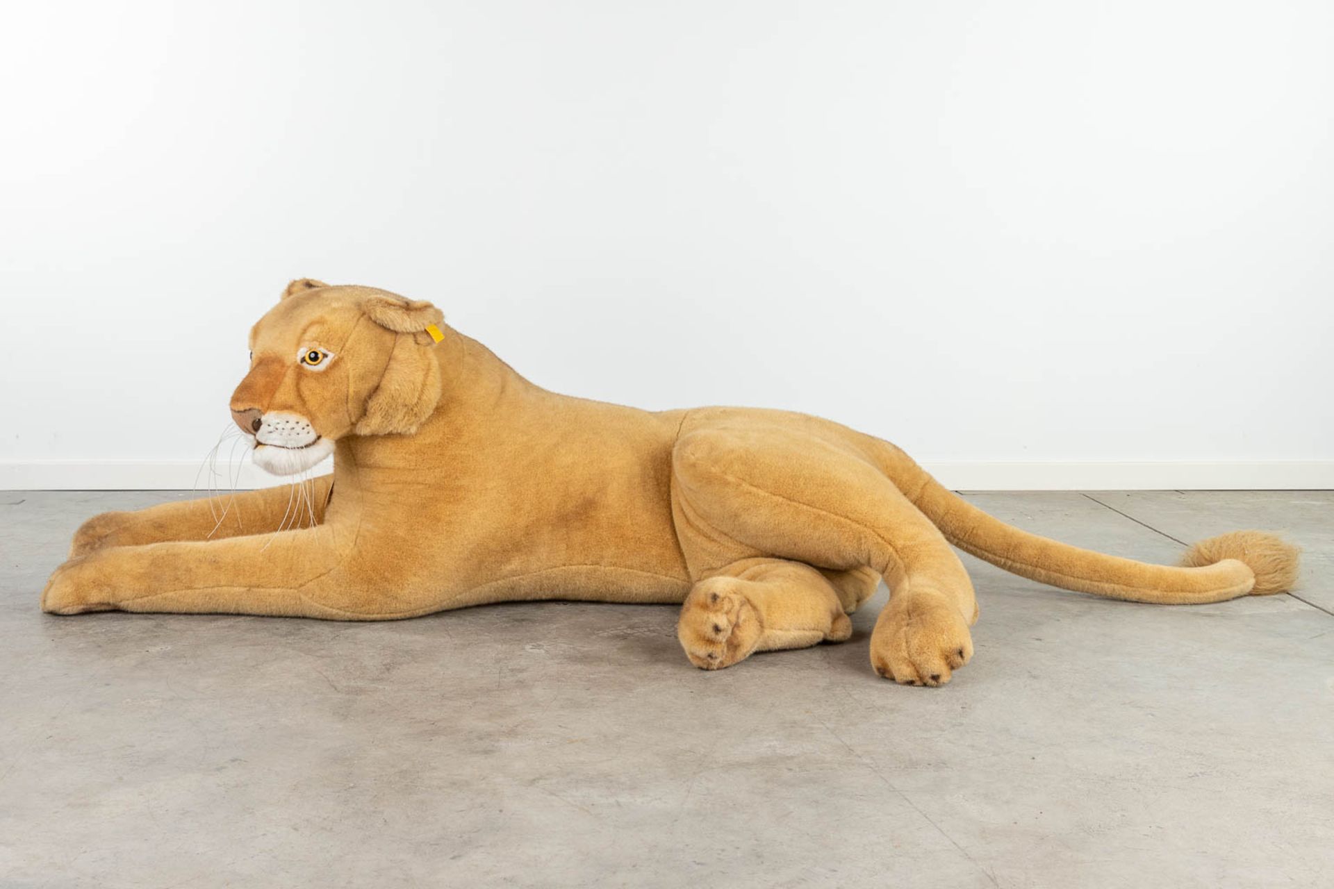Steiff Lioness, EAN 502750, around 1991-1999 (160 x 55cm) - Image 4 of 12