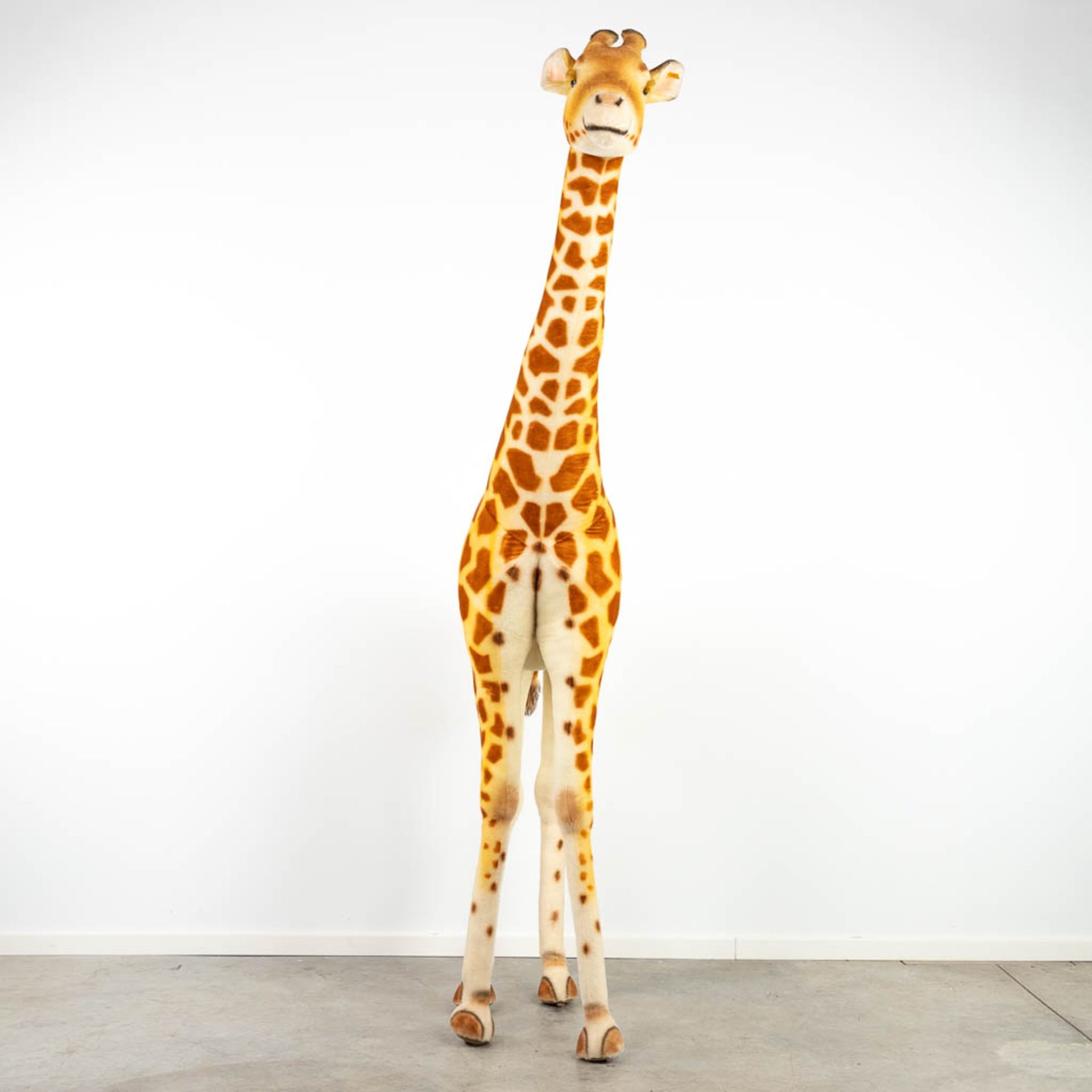Steiff Studio Giraffe, EAN 502309, around 1968-1990 (240cm) - Image 3 of 11