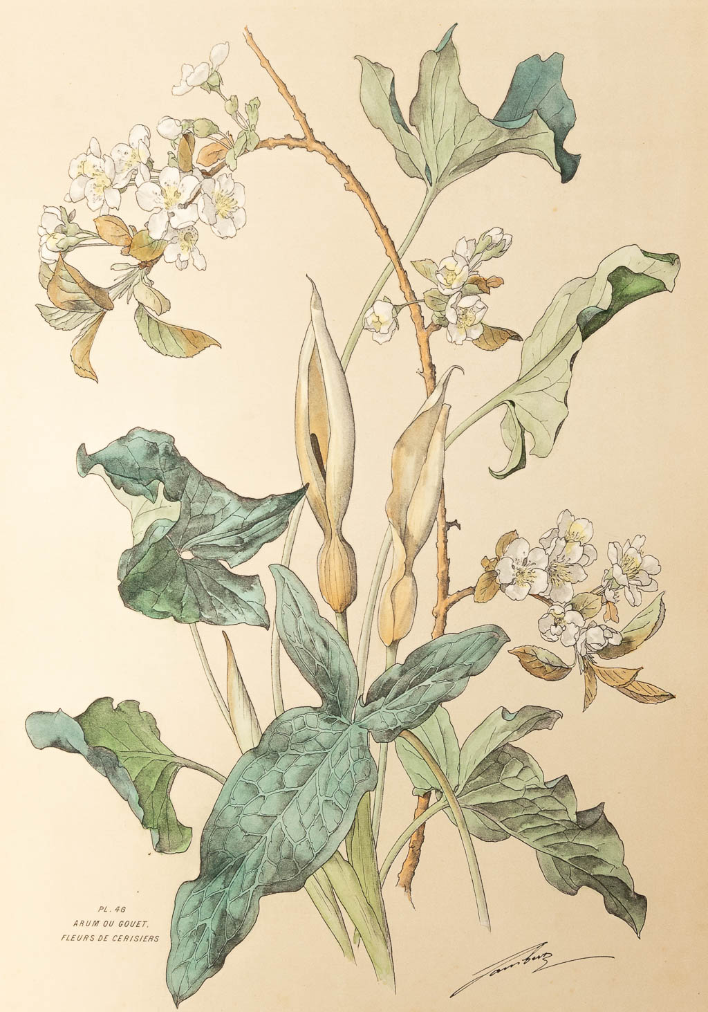 Henry LAMBERT (1836-1909),ÊFlore Naturelle, 1890 (36 x 54cm) - Image 4 of 8