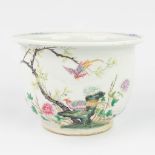A Chinese Cache-pot flower pot made of porcelain, with a hand-painted decor of birds and flowers. (1