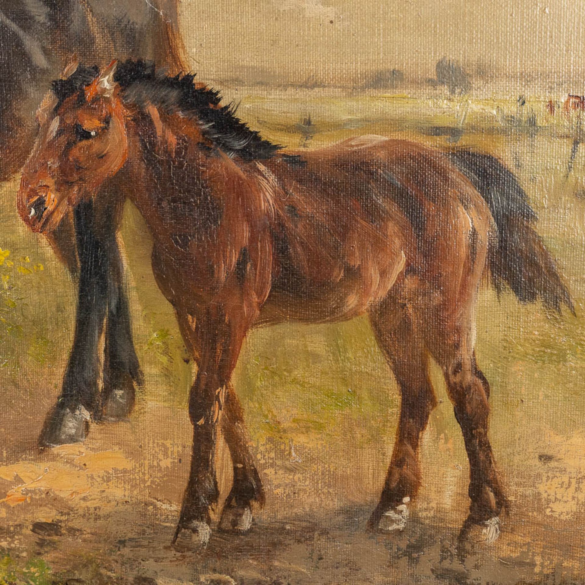Henry SCHOUTEN (1857/64-1927) 'Horses and a foal' (75 x 50cm) - Image 4 of 8