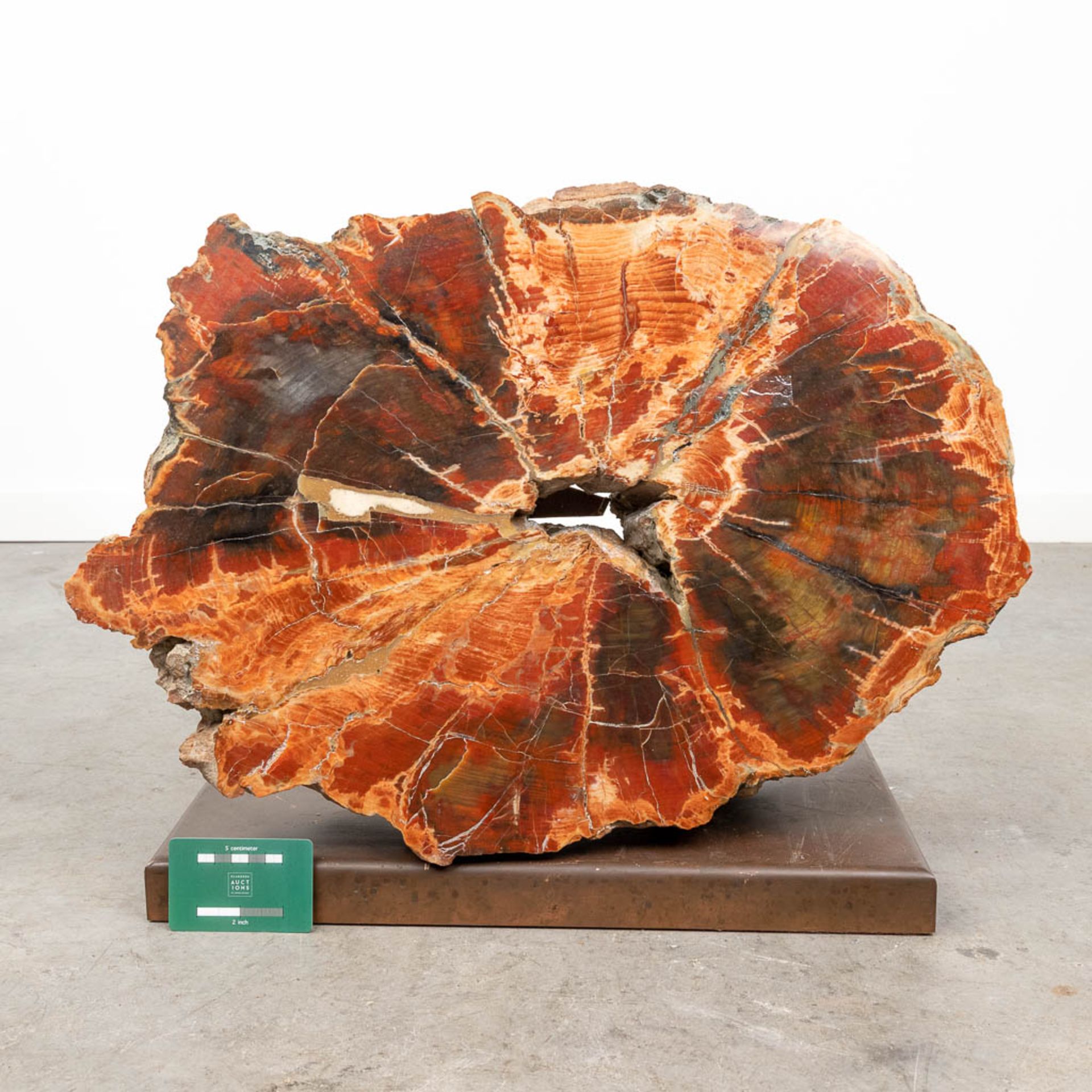 A large fossilised tree trunk, on a copper stand. (W:58 x H:41 cm) - Image 2 of 9