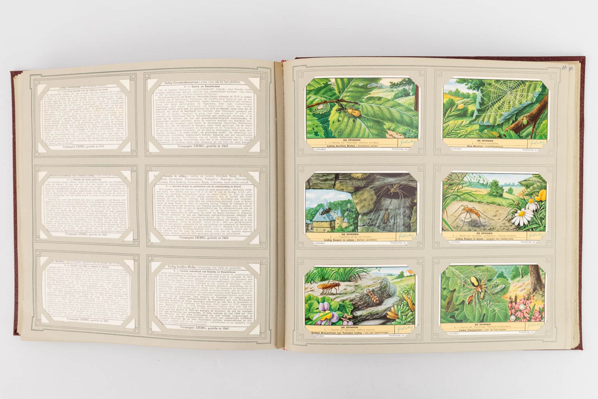 A collection of 6 books with cards by 'Chromos Liebig'. (W:30 x H:29 cm) - Image 27 of 31