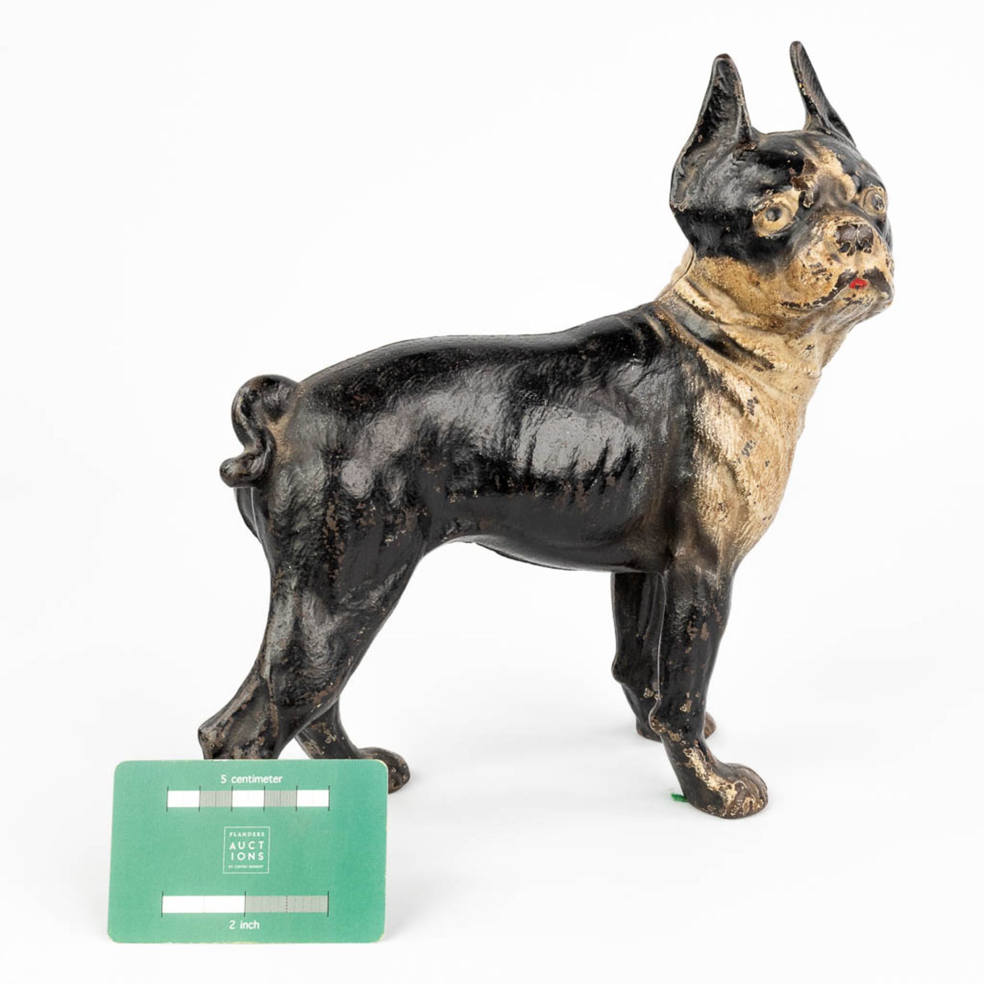 An antique figurative door stopper in the shape of a dog, cast iron. (W:25,5 x H:26 cm) - Bild 5 aus 12