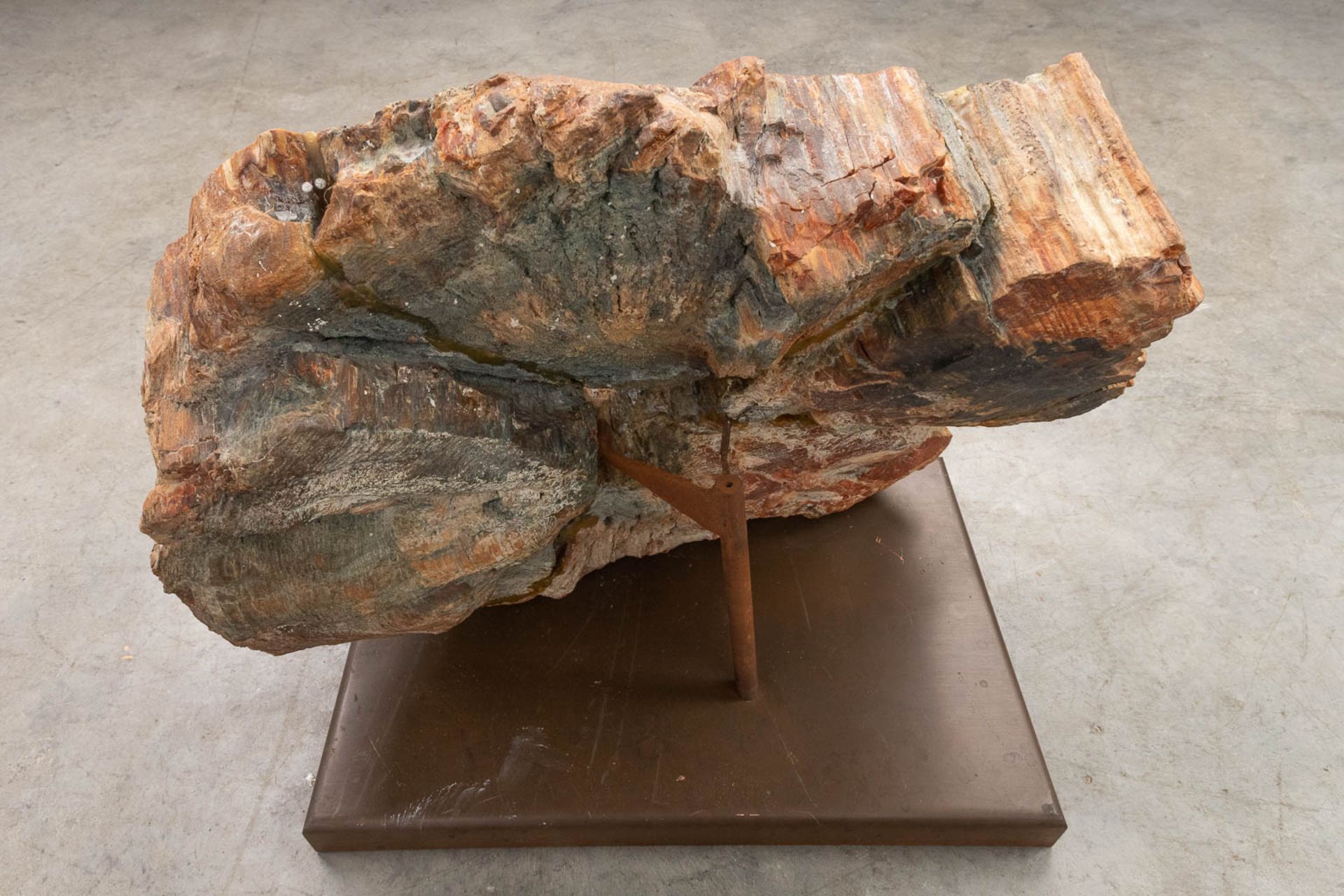A large fossilised tree trunk, on a copper stand. (W:58 x H:41 cm) - Image 8 of 9