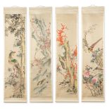 A set of 4 Chinese scrolls, hand-painted on silk. Phoenix,