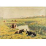 Albert CAULLET (1875-1950) 'Cows in the field' a painting, oil on canvas. (W:70 x H:50 cm)