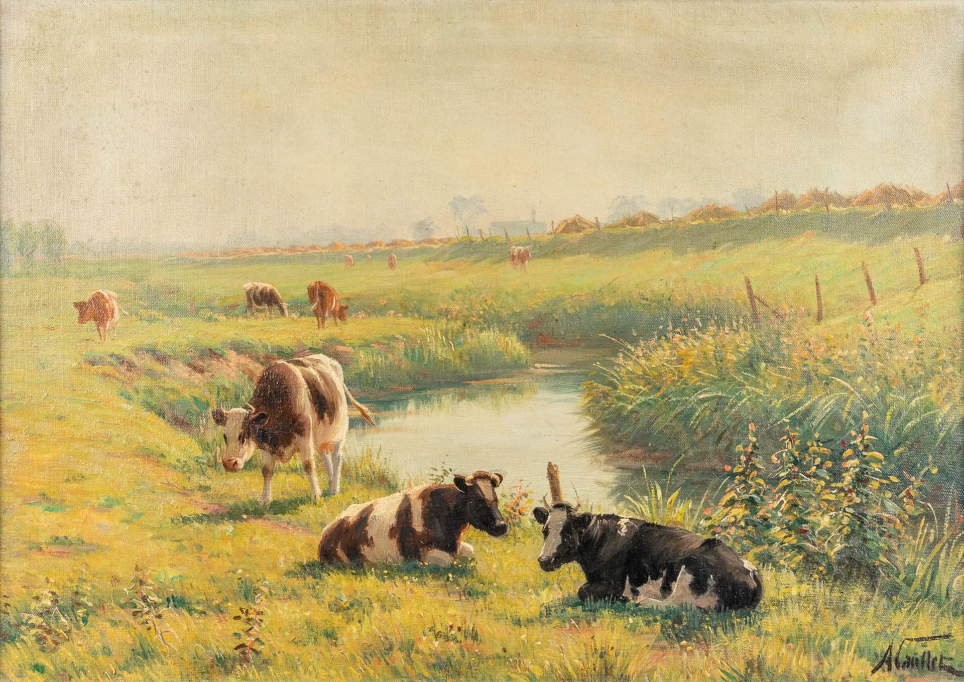 Albert CAULLET (1875-1950) 'Cows in the field' a painting, oil on canvas. (W:70 x H:50 cm)