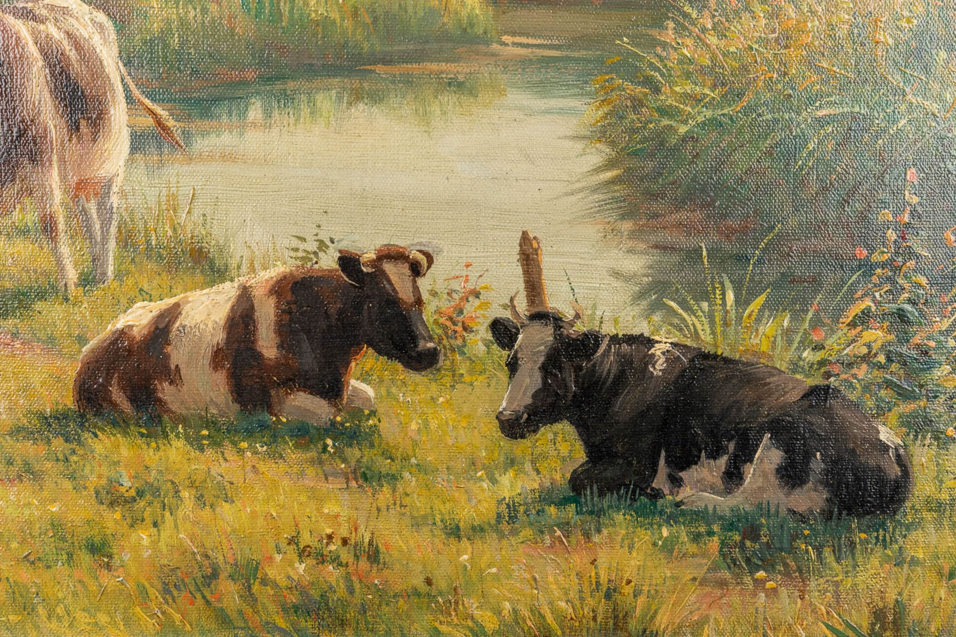Albert CAULLET (1875-1950) 'Cows in the field' a painting, oil on canvas. (W:70 x H:50 cm) - Image 5 of 7