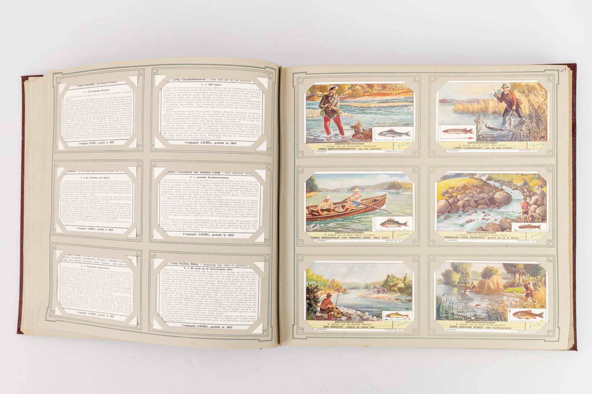 A collection of 6 books with cards by 'Chromos Liebig'. (W:30 x H:29 cm) - Image 4 of 31