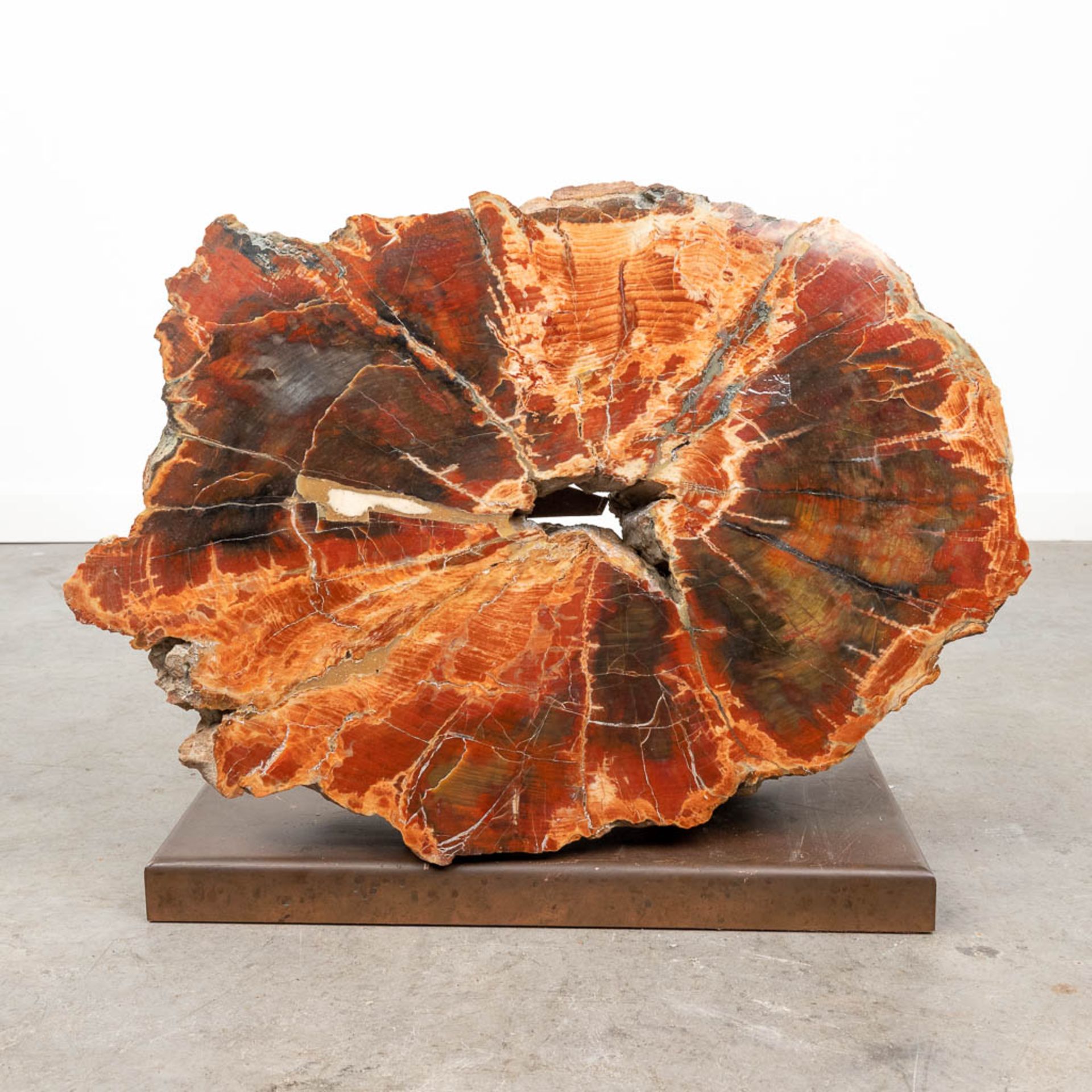 A large fossilised tree trunk, on a copper stand. (W:58 x H:41 cm)