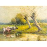 Landscape with cattle' a painting, oil on canvas. Illegibly signed. (W:57 x H:78 cm)