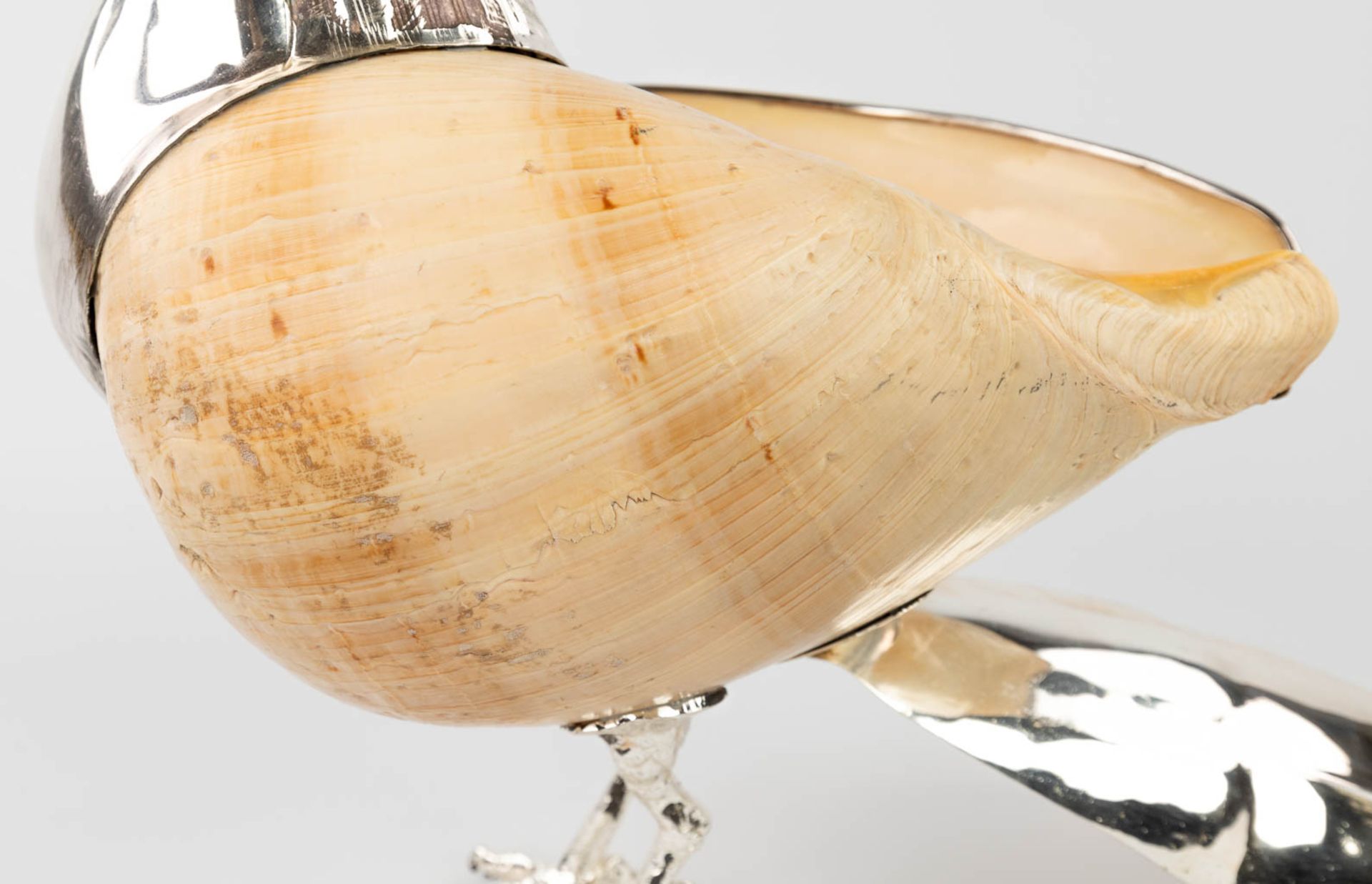 Gabriella BINAZZI (XX-XXI) 'Toucan' a bird made of silver-plated metal and a sea shell. (L:20 x W:4 - Image 5 of 13