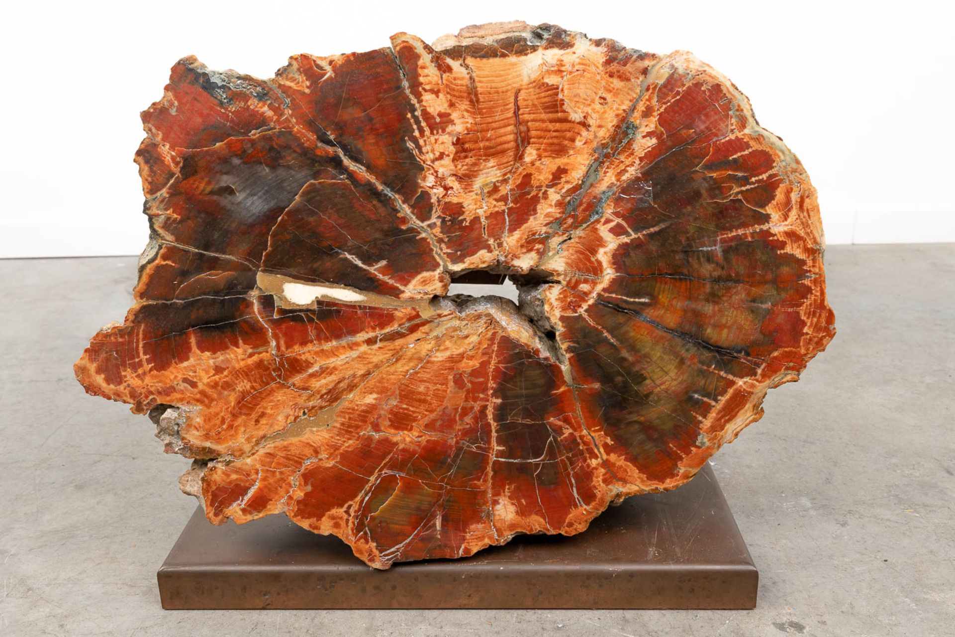 A large fossilised tree trunk, on a copper stand. (W:58 x H:41 cm) - Image 3 of 9