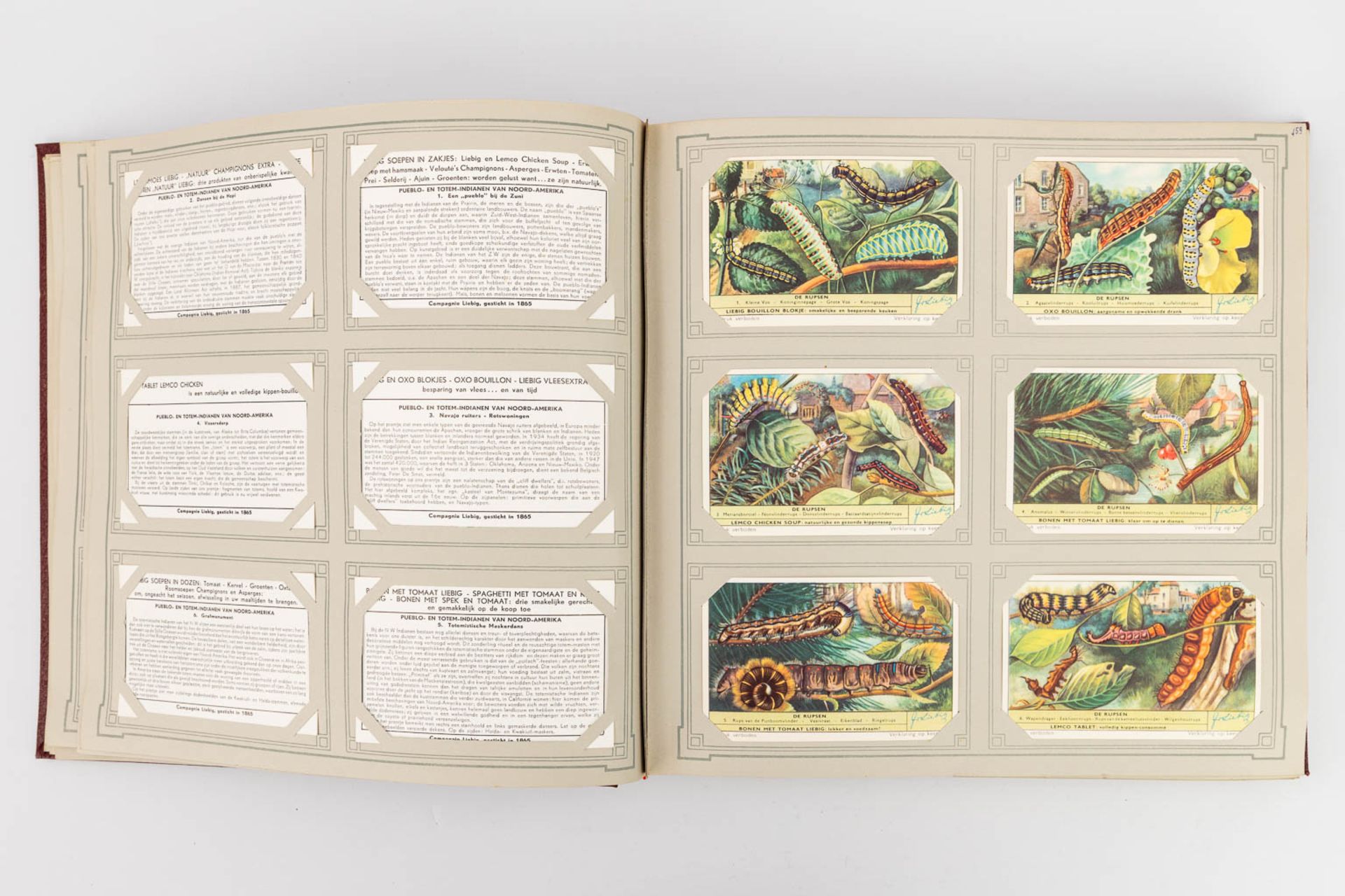 A collection of 6 books with cards by 'Chromos Liebig'. (W:30 x H:29 cm) - Image 18 of 31