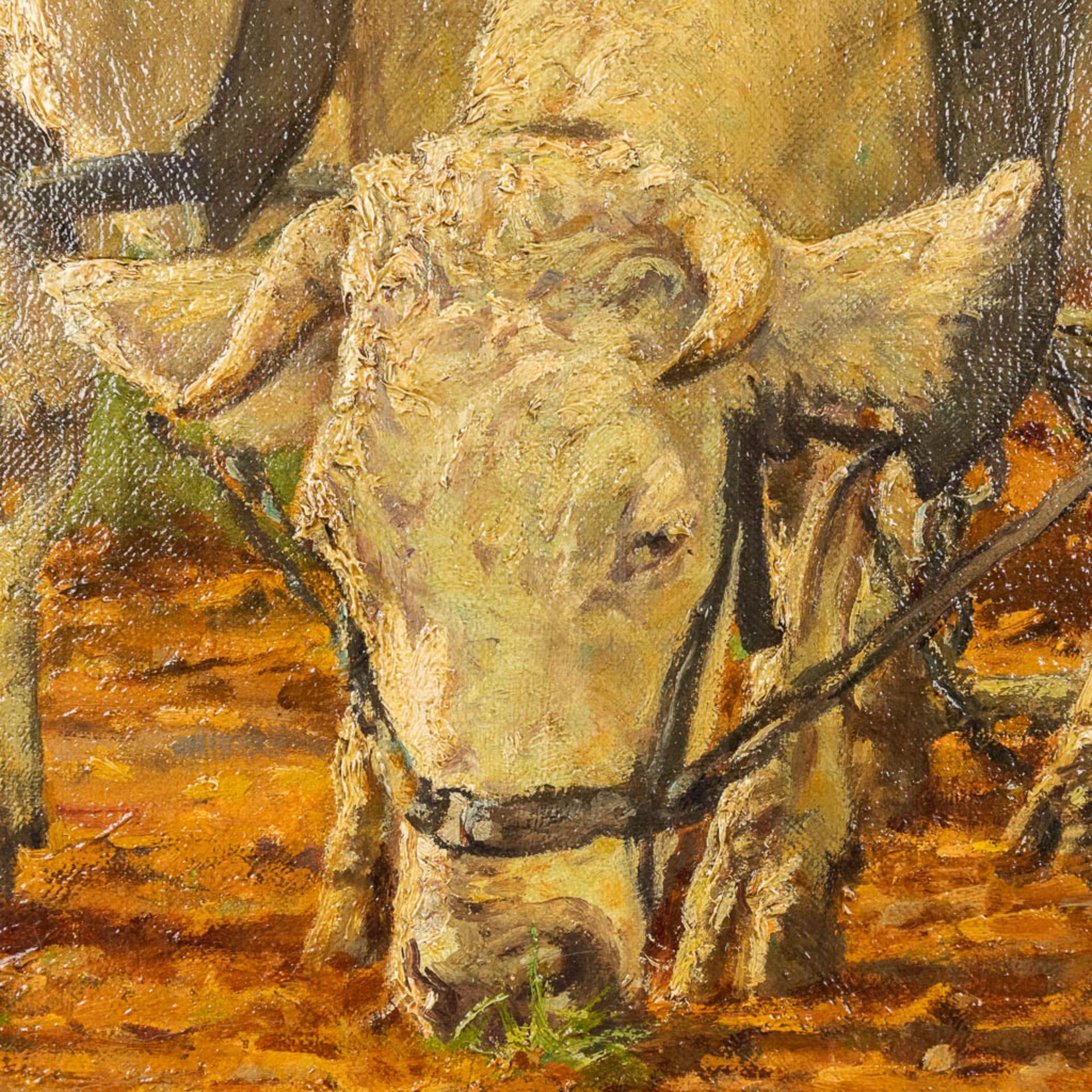Adolphe JACOBS (1859-1940) 'The Cows', oil on canvas. (W:105 x H:82 cm) - Bild 6 aus 12
