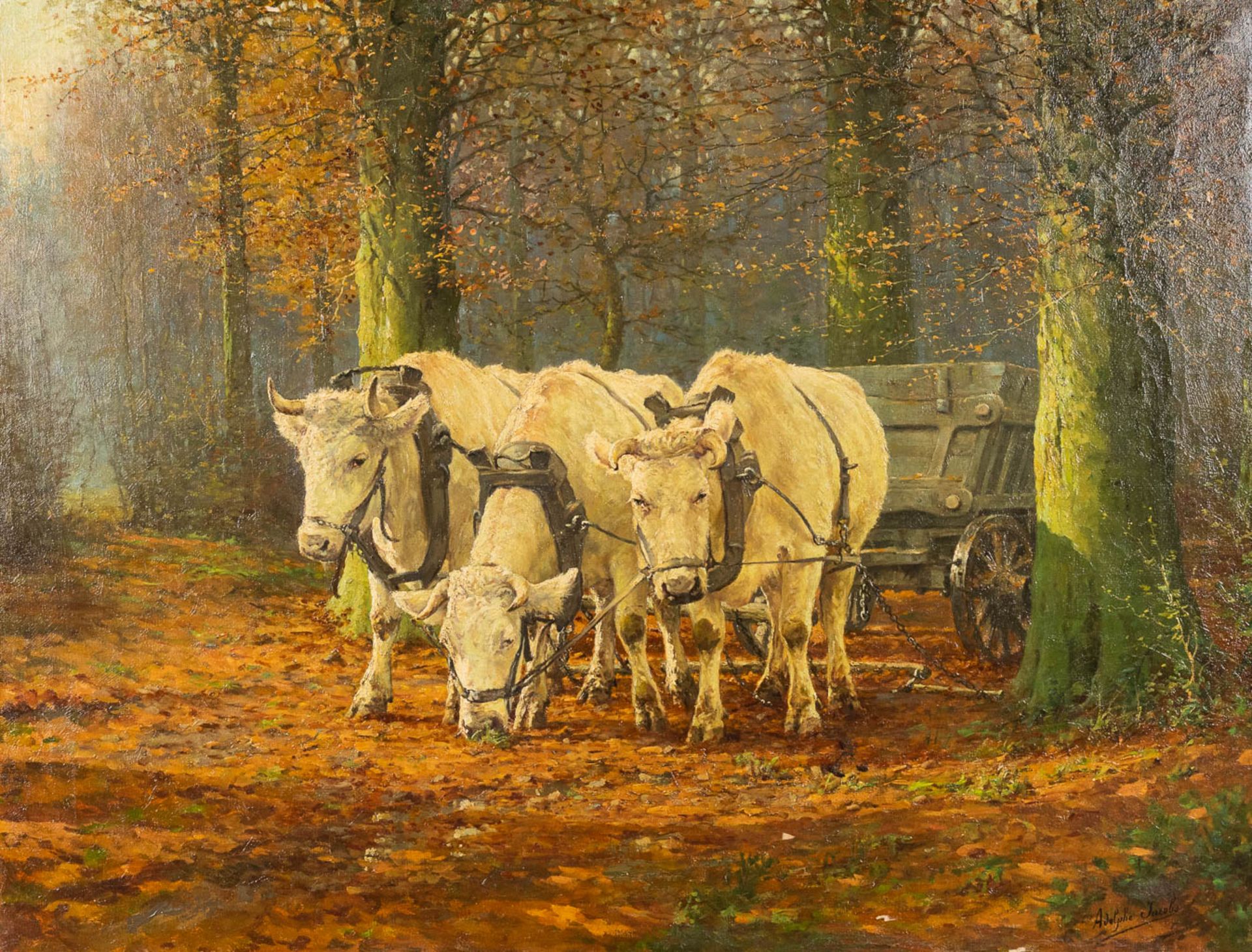 Adolphe JACOBS (1859-1940) 'The Cows', oil on canvas. (W:105 x H:82 cm)