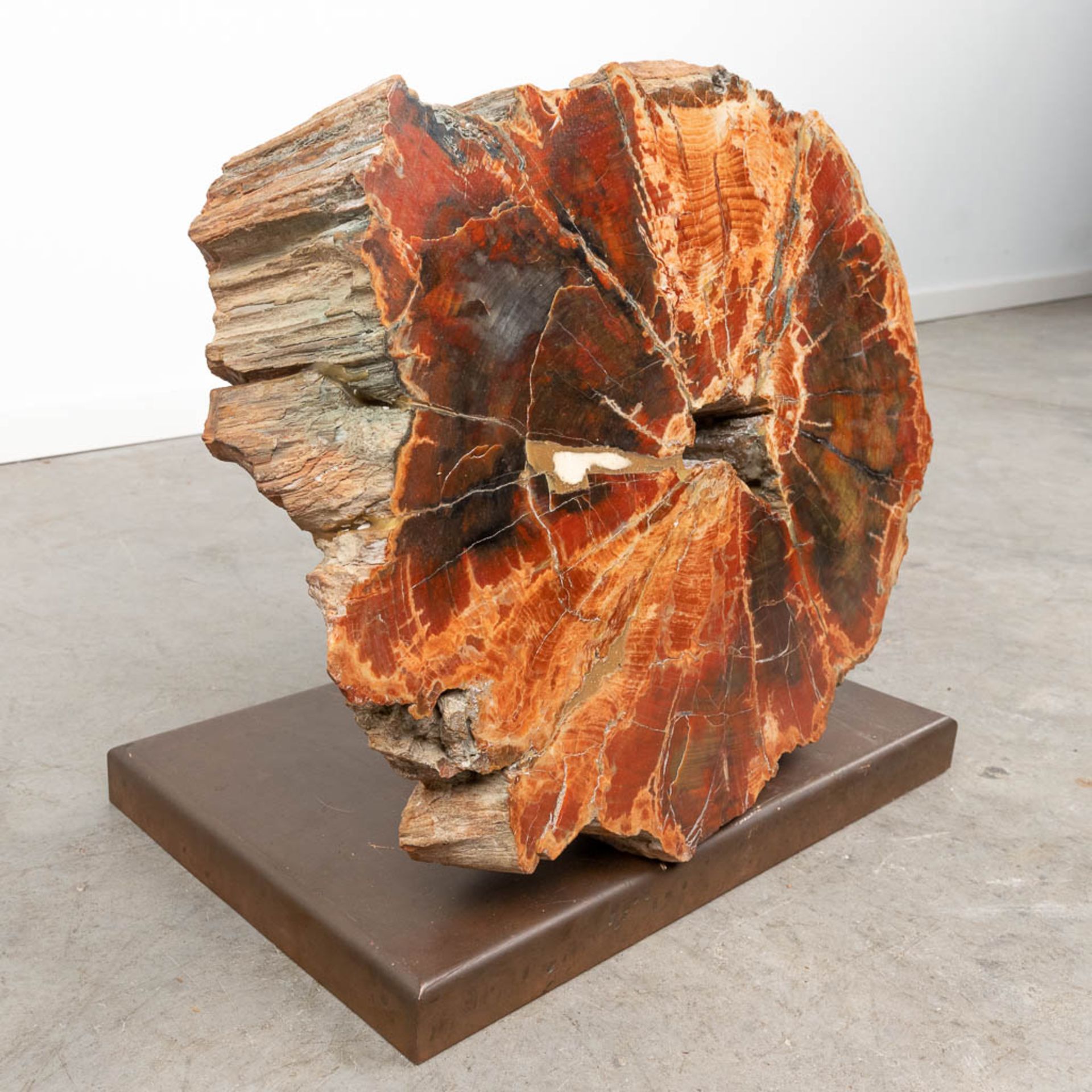 A large fossilised tree trunk, on a copper stand. (W:58 x H:41 cm) - Image 5 of 9