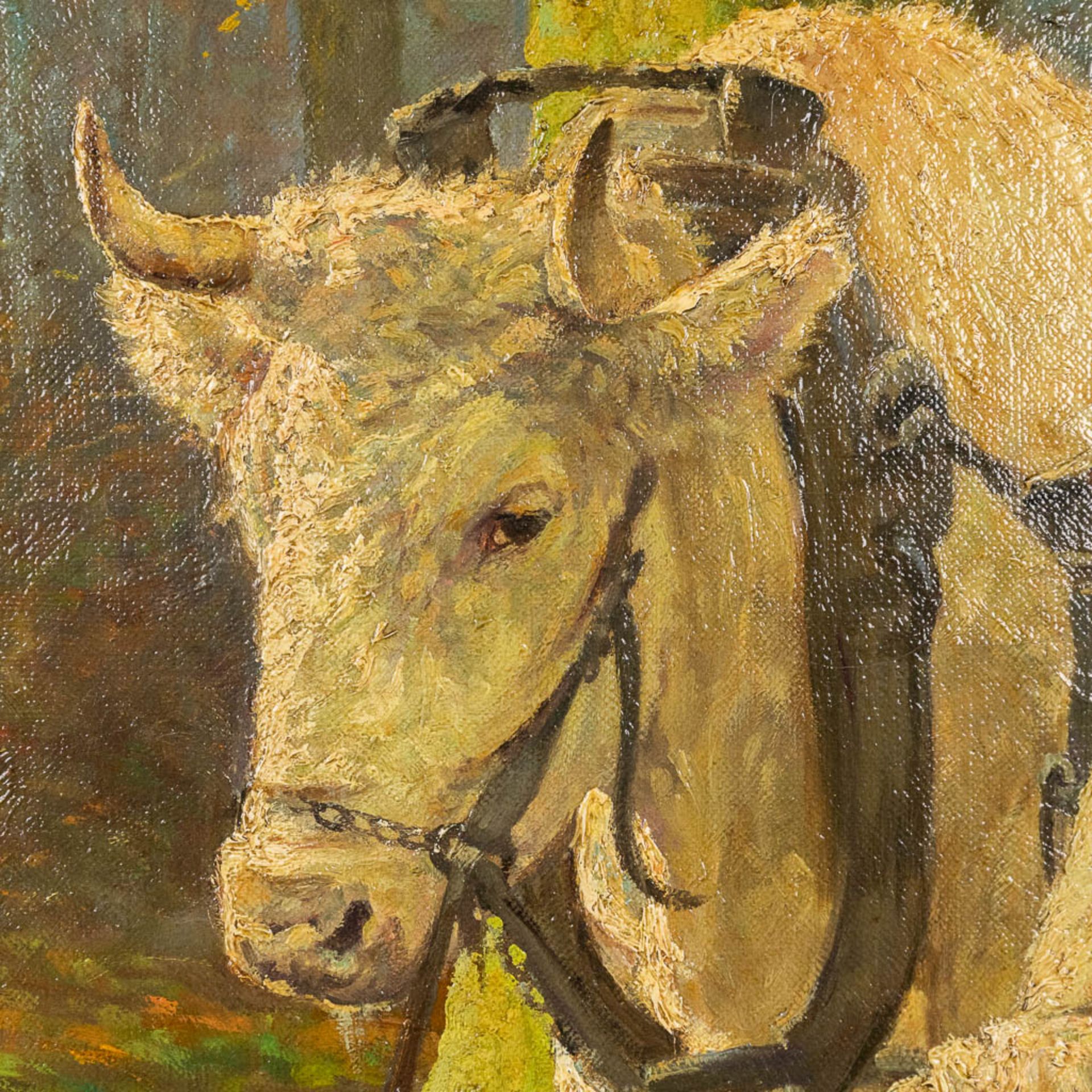 Adolphe JACOBS (1859-1940) 'The Cows', oil on canvas. (W:105 x H:82 cm) - Bild 7 aus 12