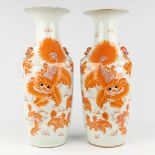 A pair of Chinese vases decorated with red Foo dogs. 19th/20th C. (H: 60 x D: 24 cm)