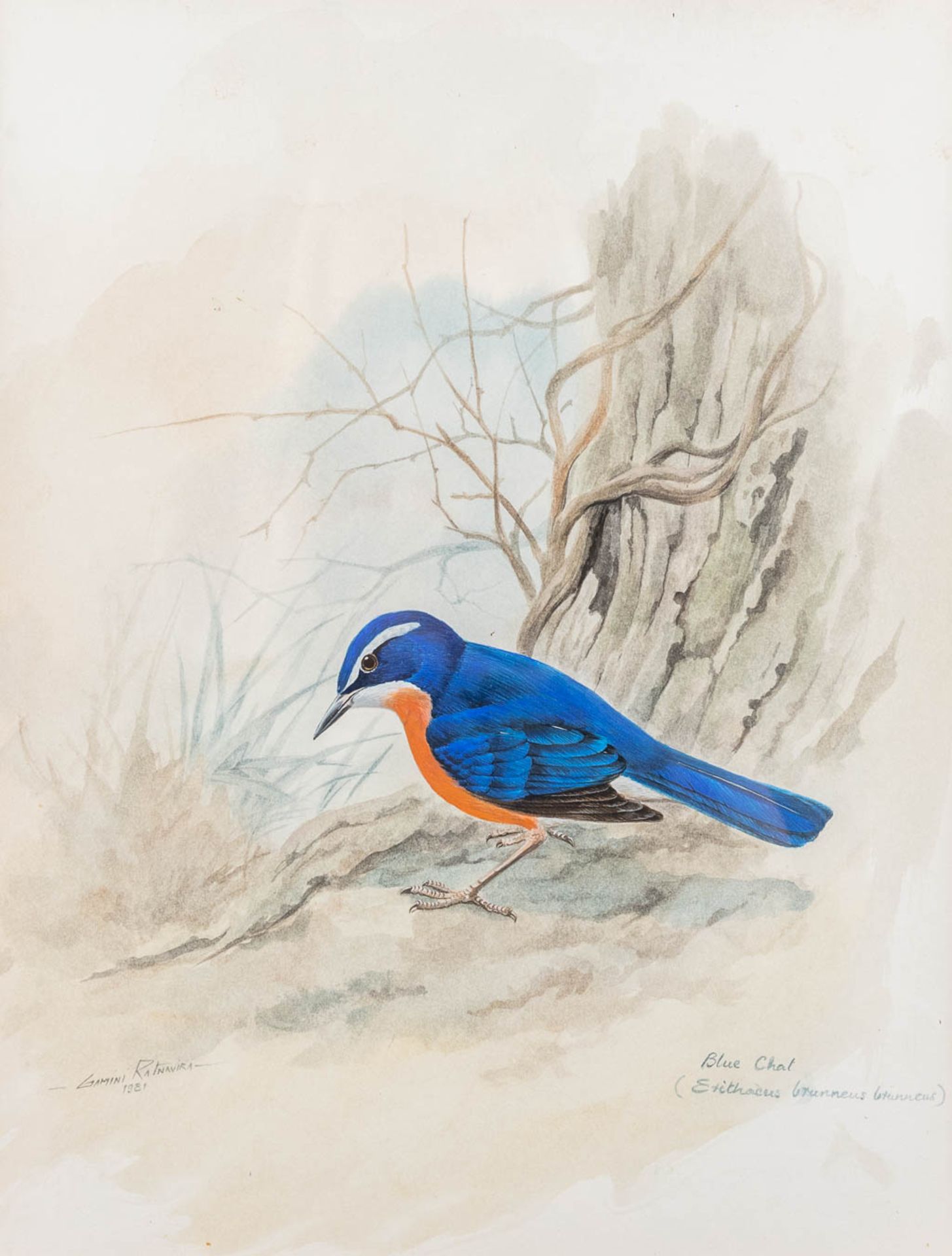 Gamini P. RATNAVIRA (1949) a collection of 4 drawings, watercolour on paper. (W: 26 x H: 34 cm) - Image 15 of 24