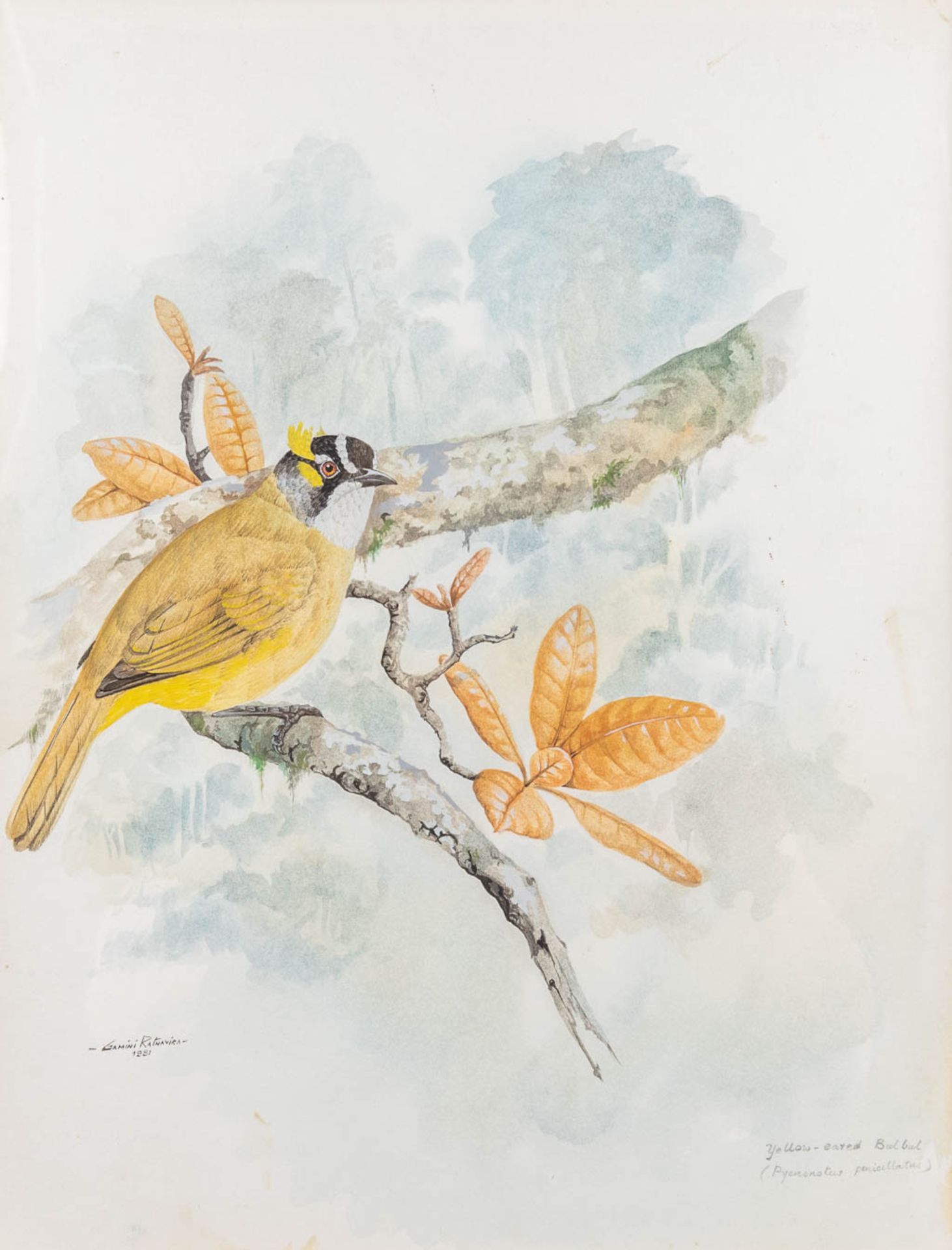 Gamini P. RATNAVIRA (1949) a collection of 4 drawings, watercolour on paper. (W: 26 x H: 34 cm) - Image 11 of 24