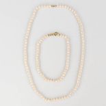 A collection of 2 pearl necklaces with round pearls, 18kt gold clasps.