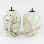 A pair of Chinese vases with wood lid, decorated with fauna and flora. 19th/20th C. (H: 32 x D: 20 c