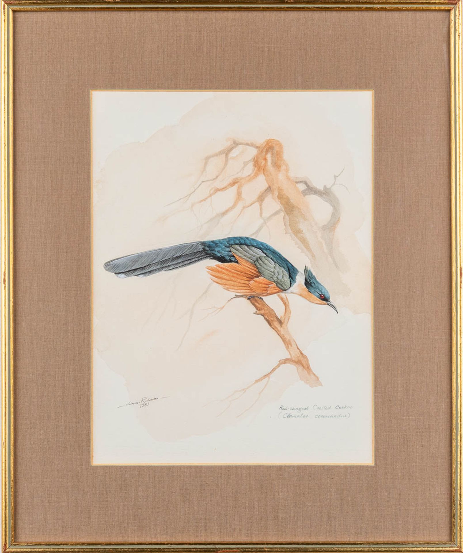 Gamini P. RATNAVIRA (1949) a collection of 4 drawings, watercolour on paper. (W: 26 x H: 34 cm) - Image 6 of 24