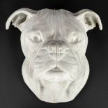 Marcel VANDENHENDE (XIX-XX) 'Bulldog', plaster. (W: 23 x H: 24 cm)