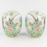 A pair of Chinese vases 'Famille Rose', decorated with fauna and flora. 19th/20th C. (H: 31 x D: 24,